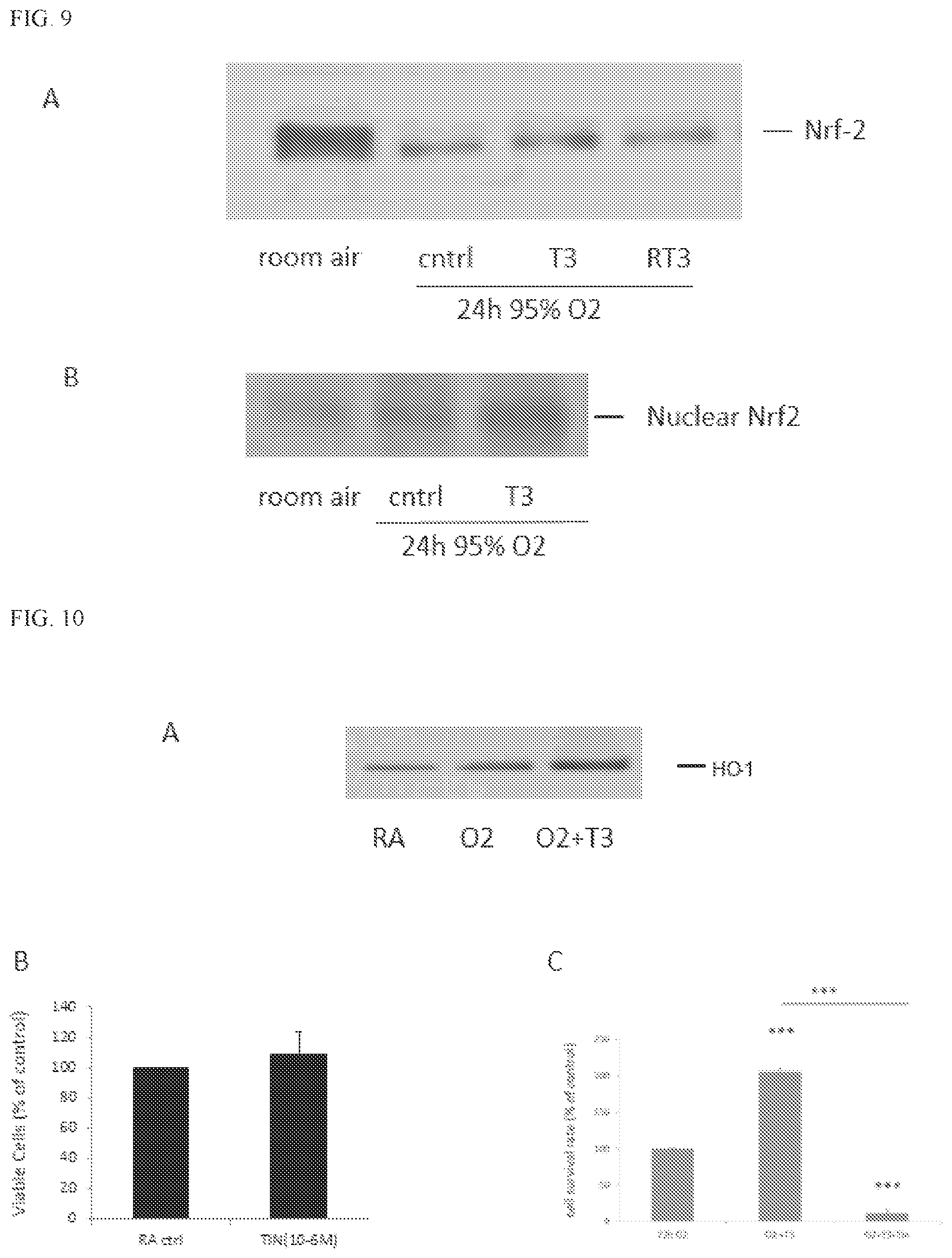 Patent US12569459 Figure 8 – Compositions and methods for treating pulmonary edema or lung inflammation
