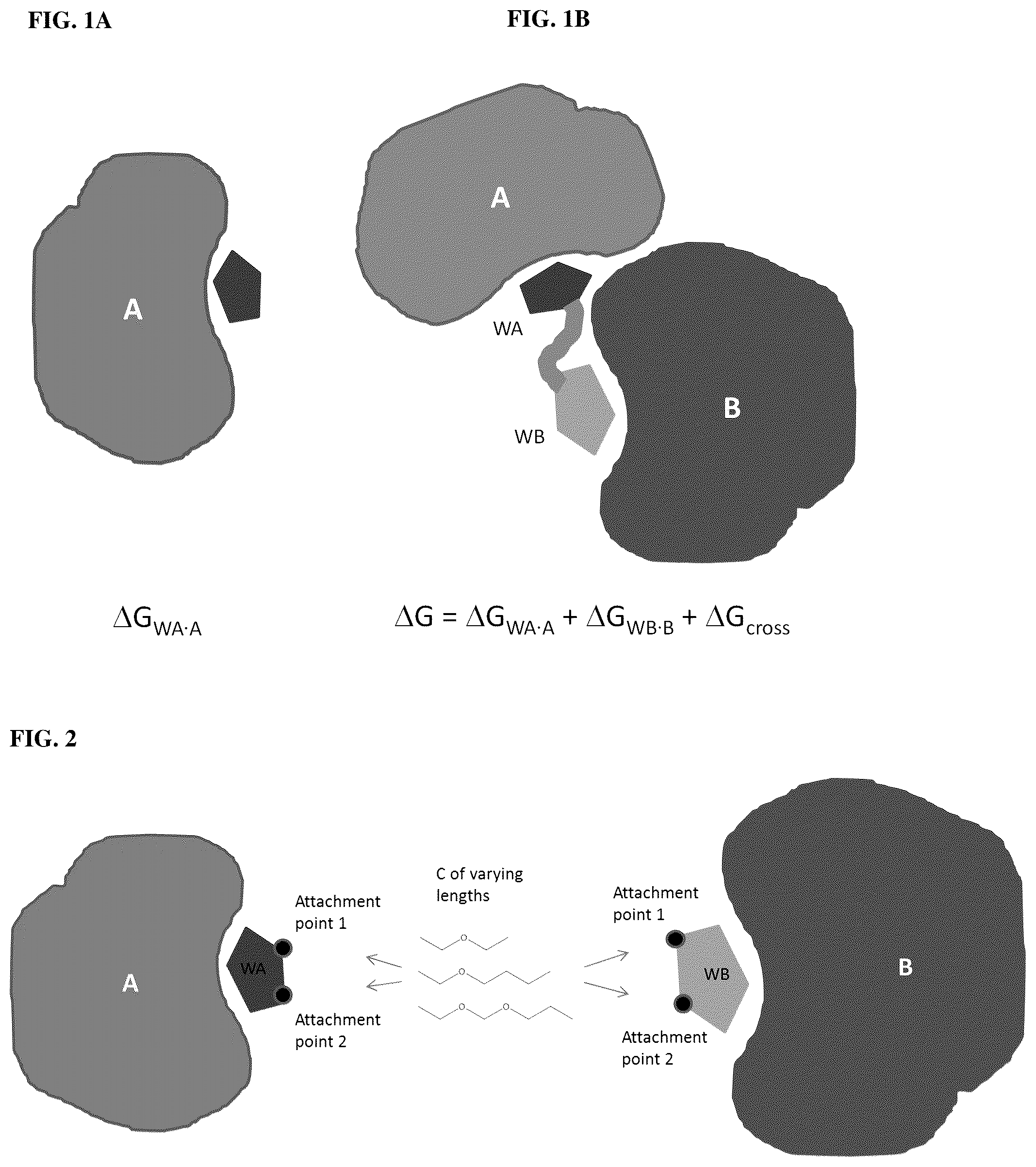 Patent US12569464 Figure 1 – Protein-protein interaction inducing technology