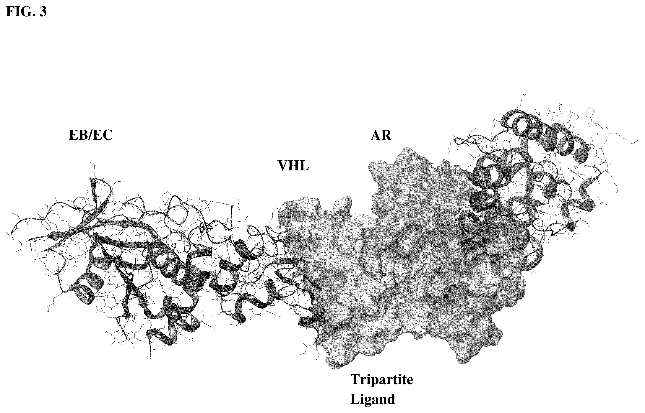 Patent US12569464 Figure 2 – Protein-protein interaction inducing technology