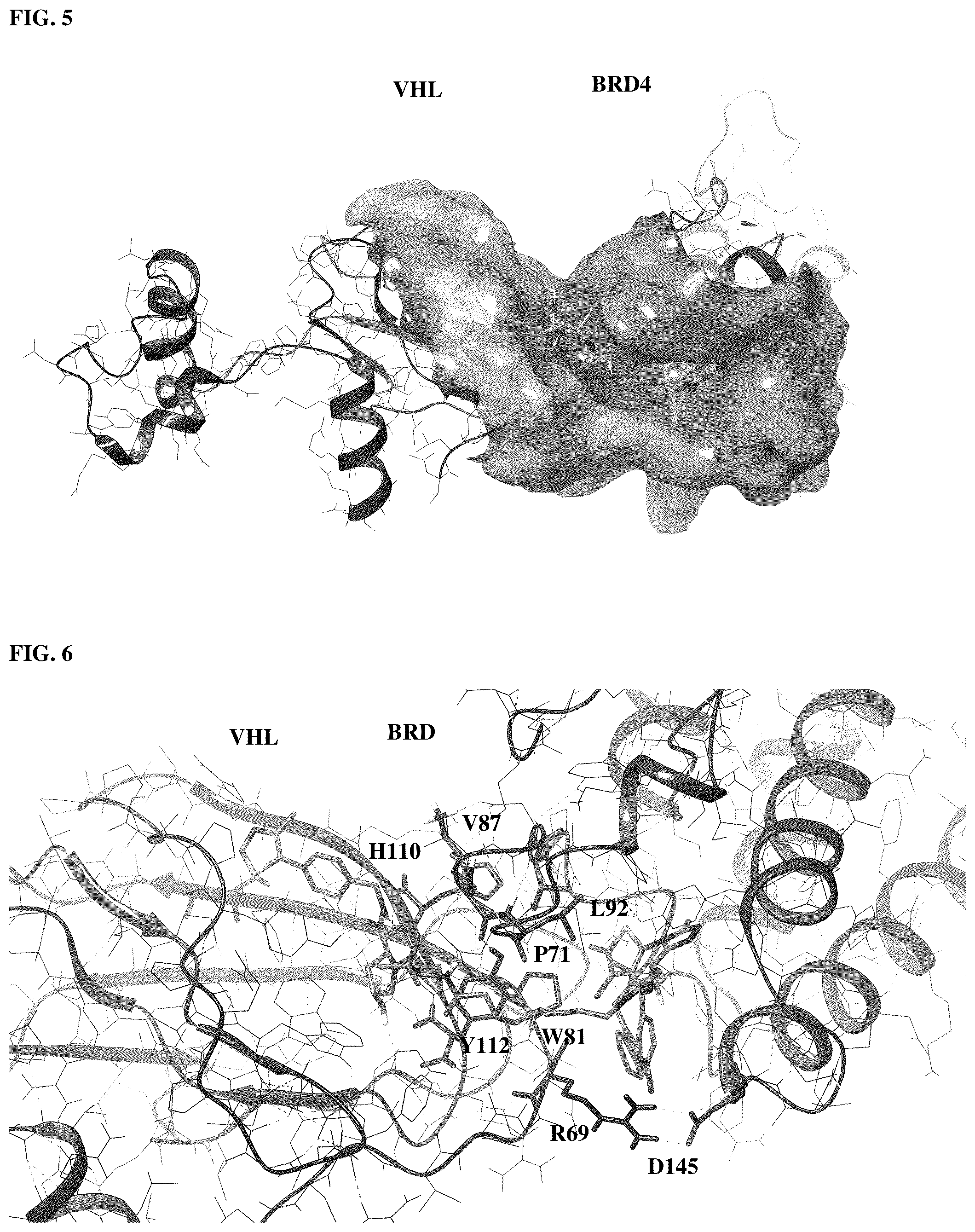 Patent US12569464 Figure 4 – Protein-protein interaction inducing technology