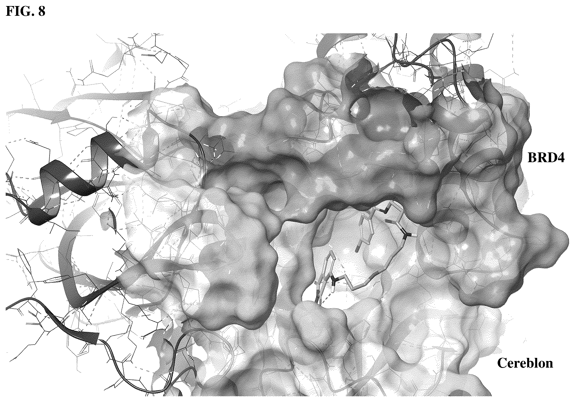 Patent US12569464 Figure 6 – Protein-protein interaction inducing technology
