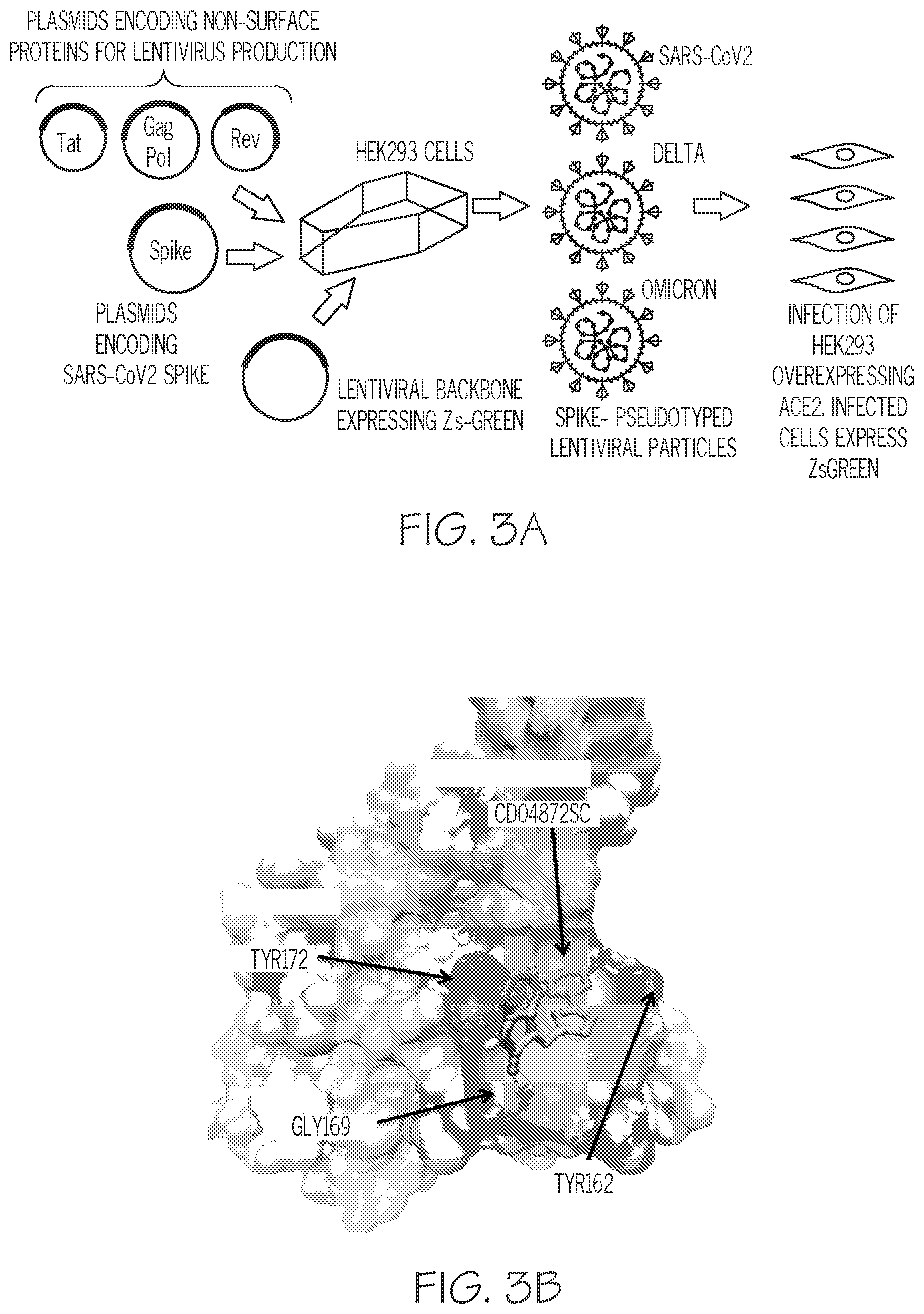 Patent US12569467 Figure 3 – Small molecules that treat or prevent viral infections