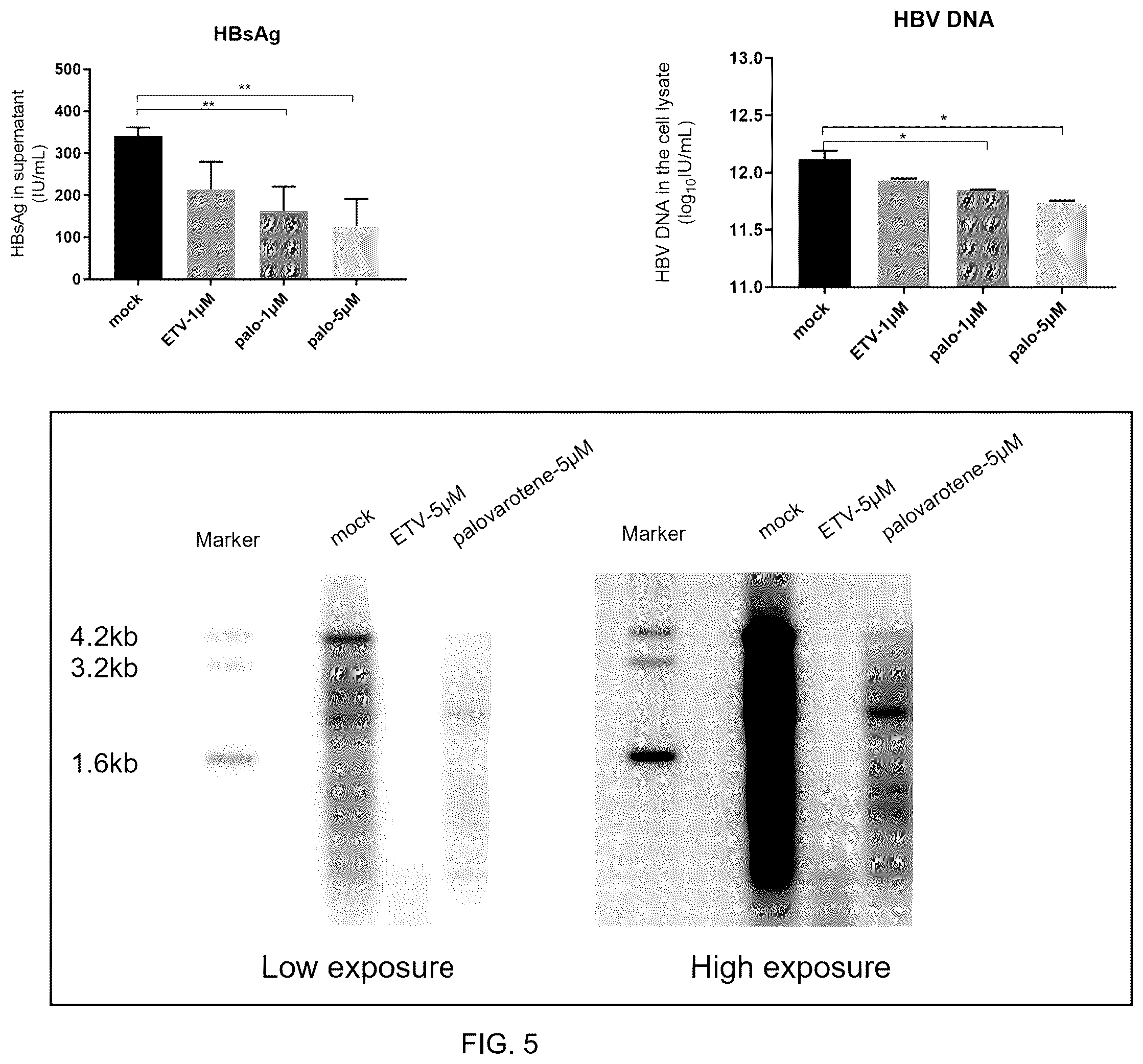 Patent US12569468 Figure 5 – Use of palovarotene in treatment against HBV virus