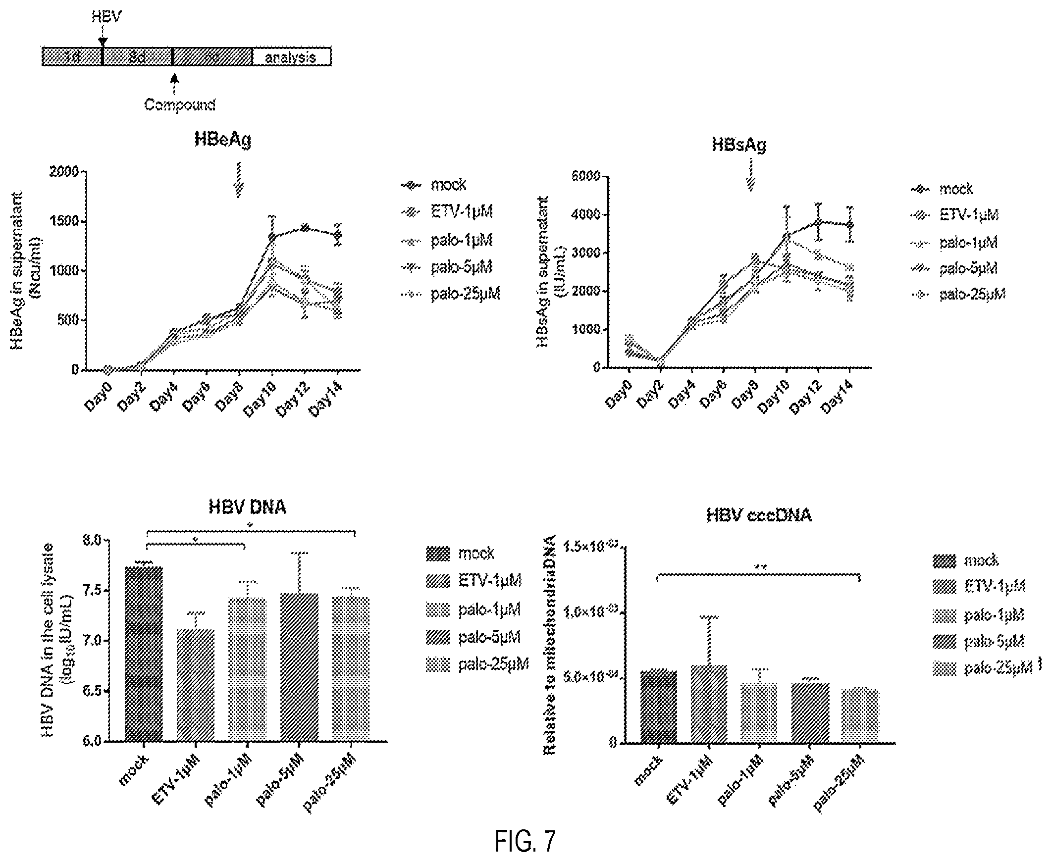 Patent US12569468 Figure 7 – Use of palovarotene in treatment against HBV virus