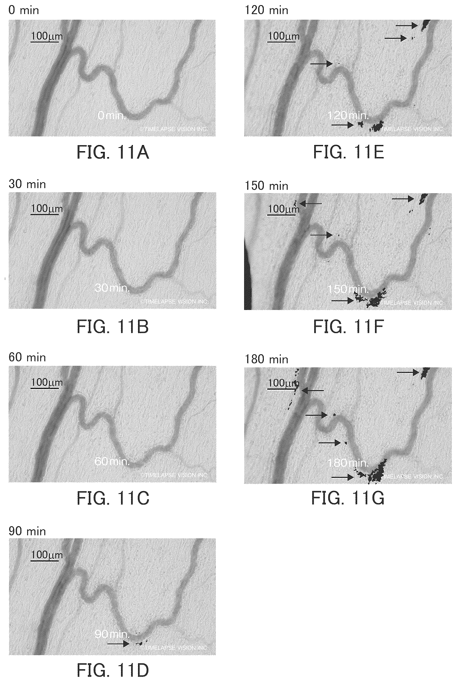 Patent US12569470 Figure 10 – Vasodilator and use thereof