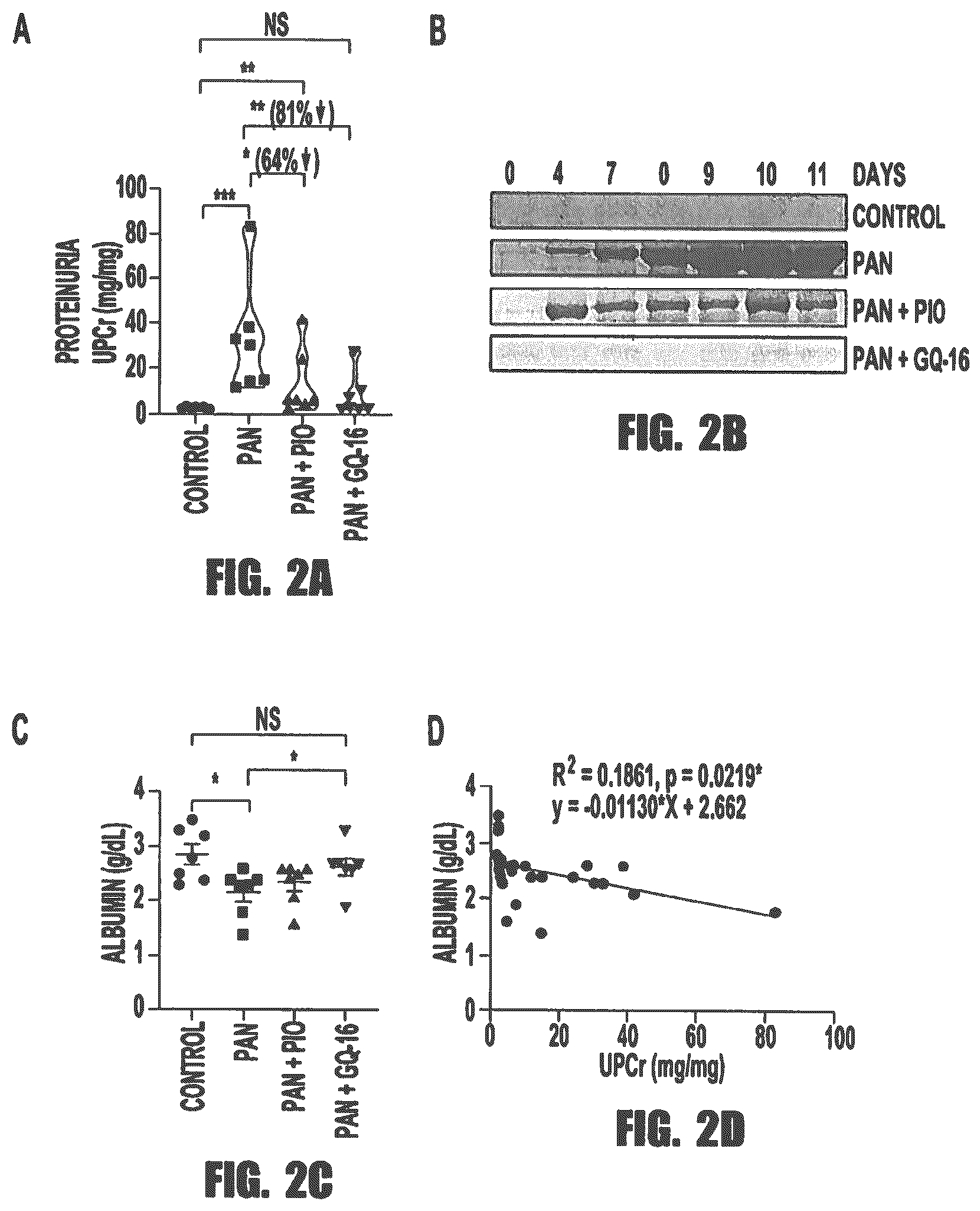 Patent US12569472 Figure 2 – PPARγ agonists for treatment of kidney disease