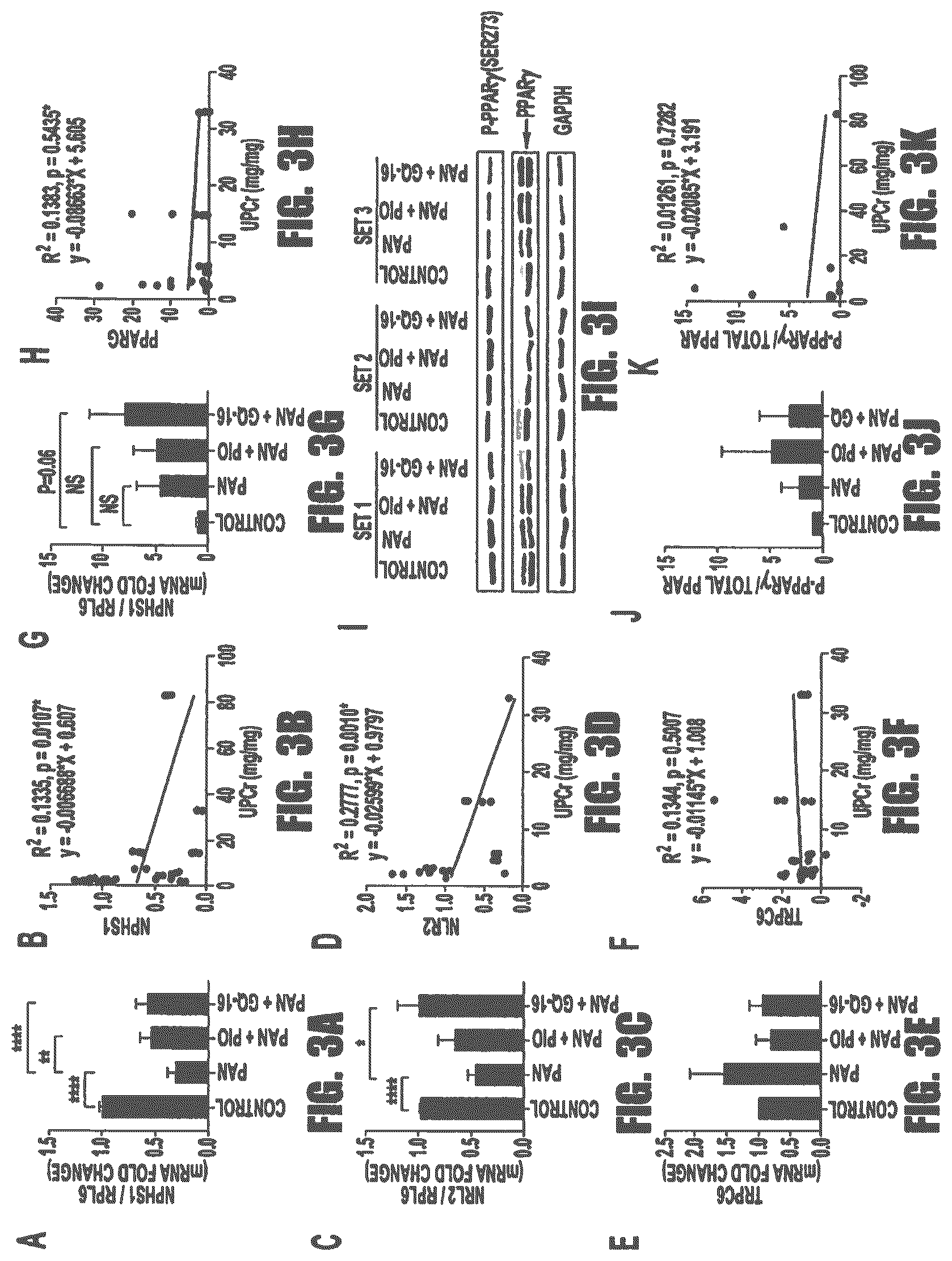 Patent US12569472 Figure 3 – PPARγ agonists for treatment of kidney disease