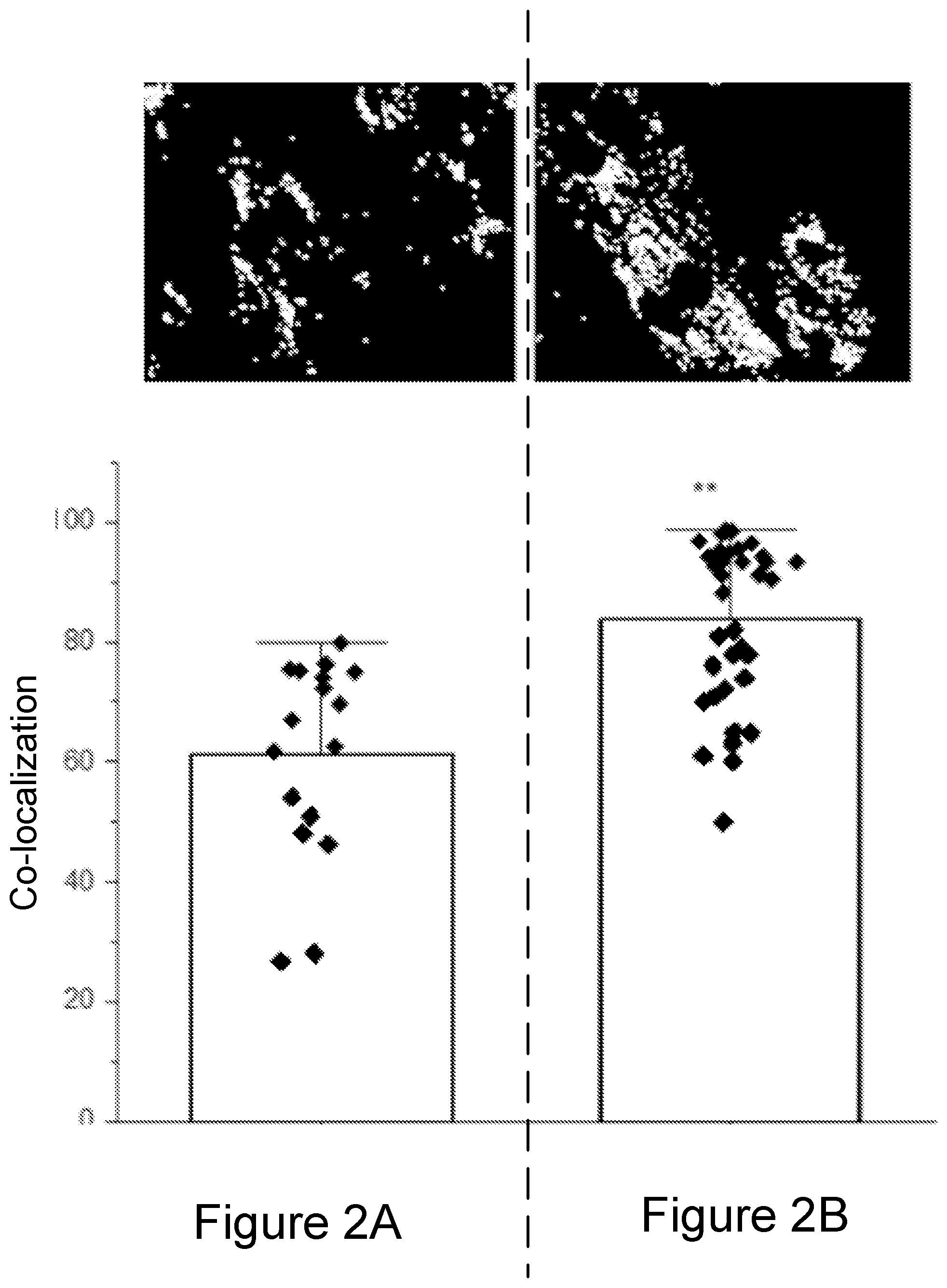 Patent US12569477 Figure 4 – Compositions for synergistically enhancing mitochondrial function