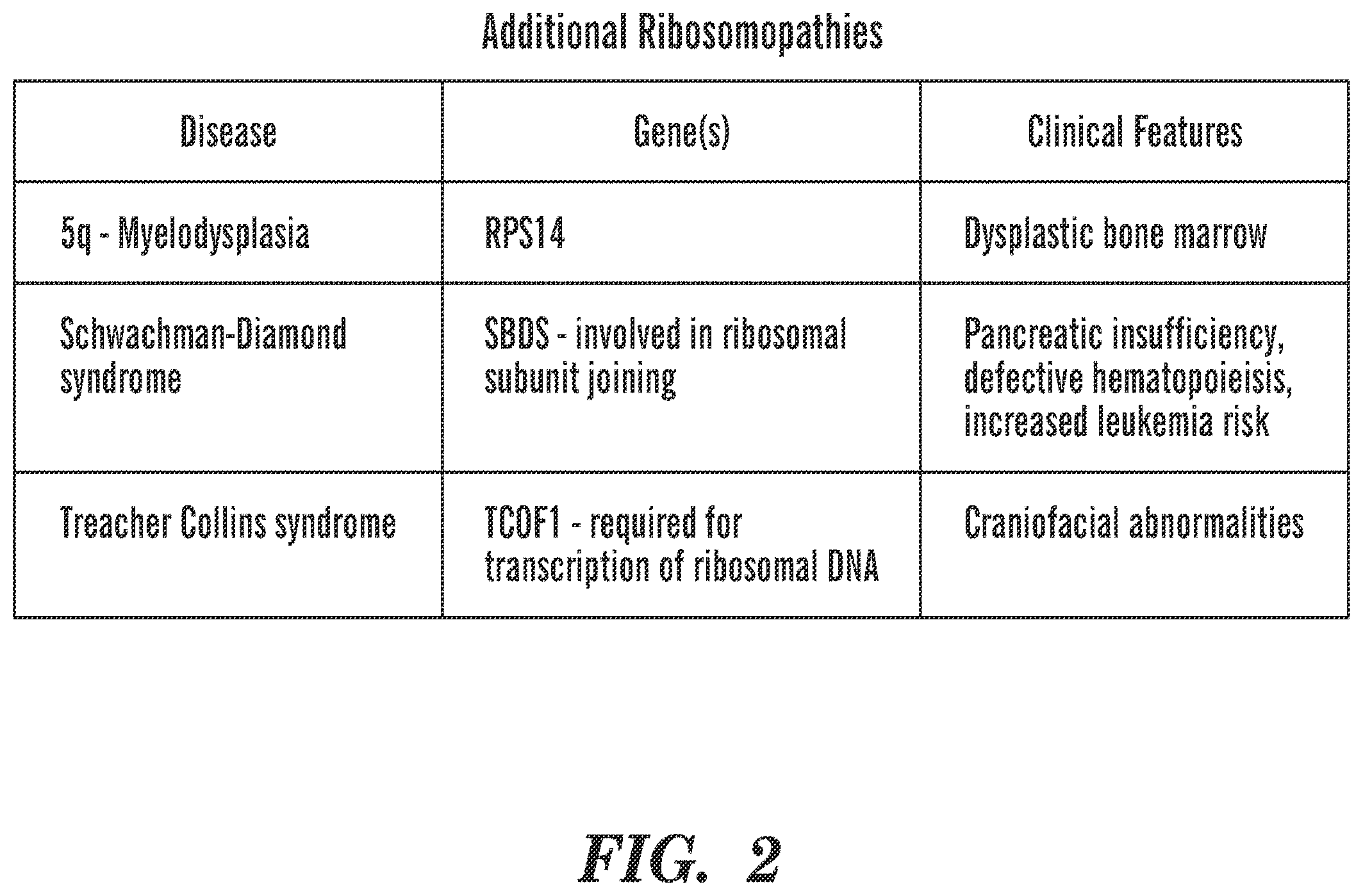 Patent US12569486 Figure 2 – Calmodulin inhibitors, CHK2 inhibitors and RSK inhibitors for the treatment of ribosomal disorders and ribosomapathies
