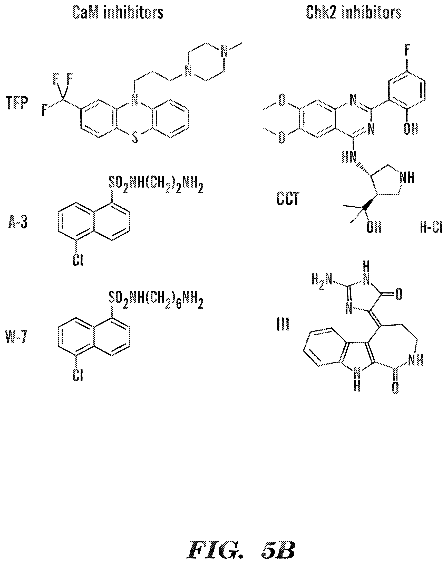 Patent US12569486 Figure 6 – Calmodulin inhibitors, CHK2 inhibitors and RSK inhibitors for the treatment of ribosomal disorders and ribosomapathies