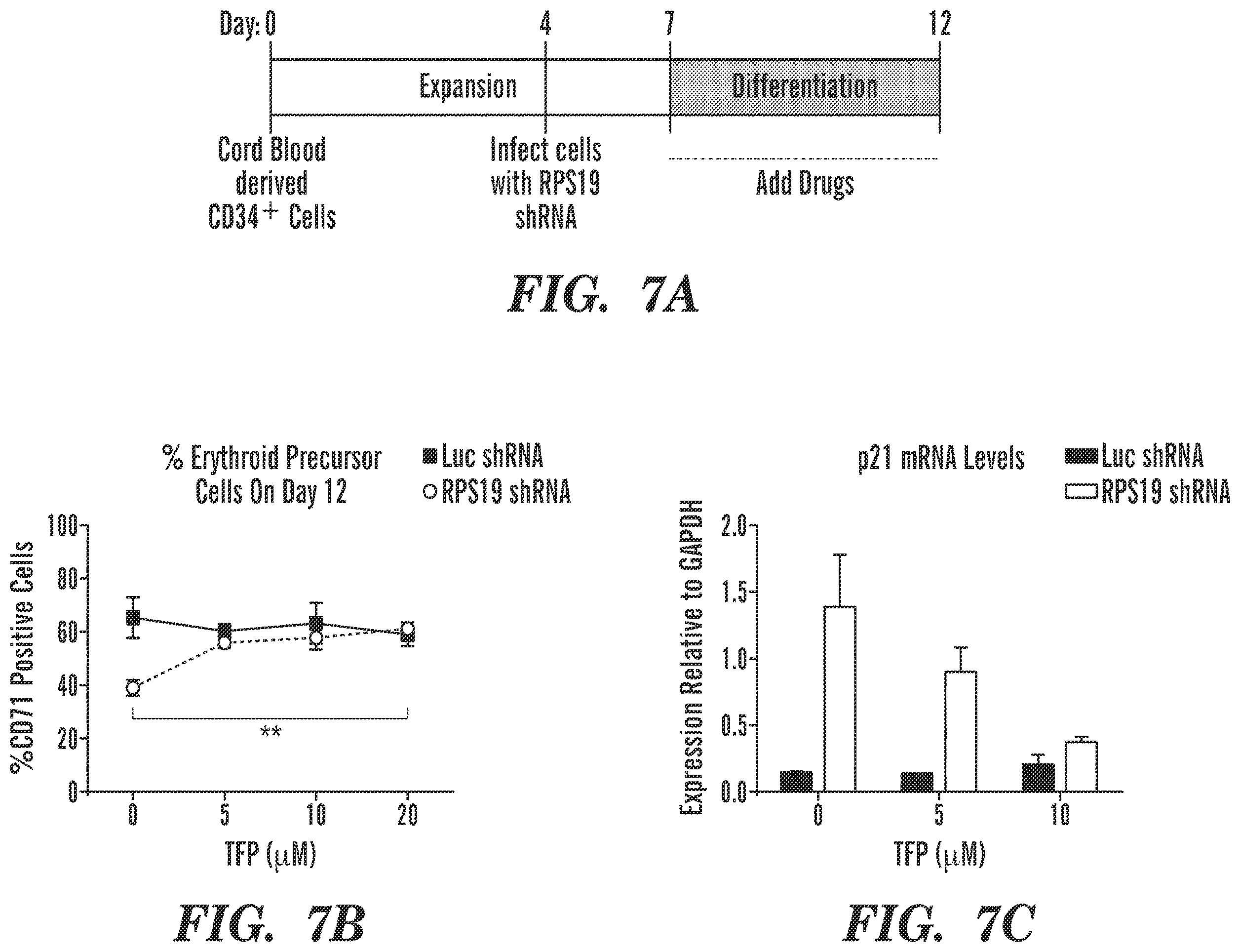Patent US12569486 Figure 8 – Calmodulin inhibitors, CHK2 inhibitors and RSK inhibitors for the treatment of ribosomal disorders and ribosomapathies