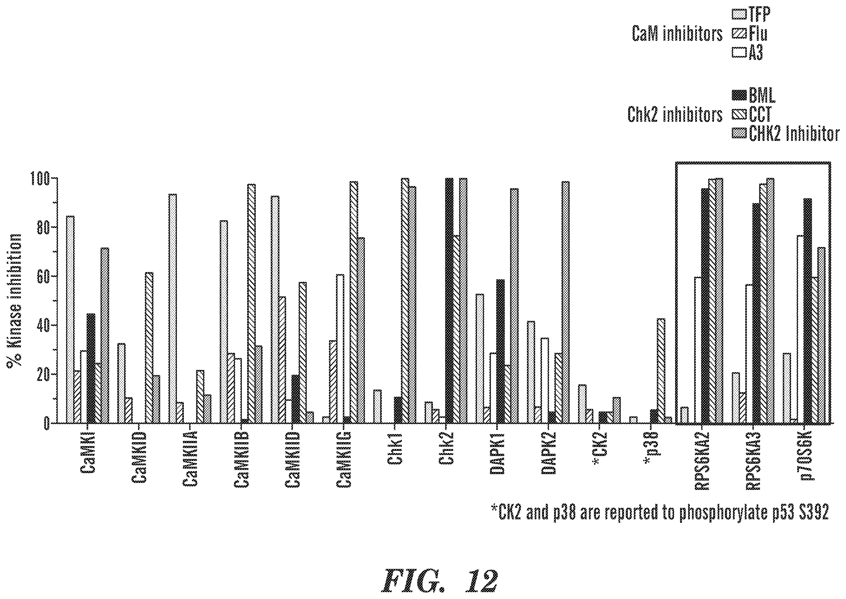 Patent US12569486 Figure 13 – Calmodulin inhibitors, CHK2 inhibitors and RSK inhibitors for the treatment of ribosomal disorders and ribosomapathies