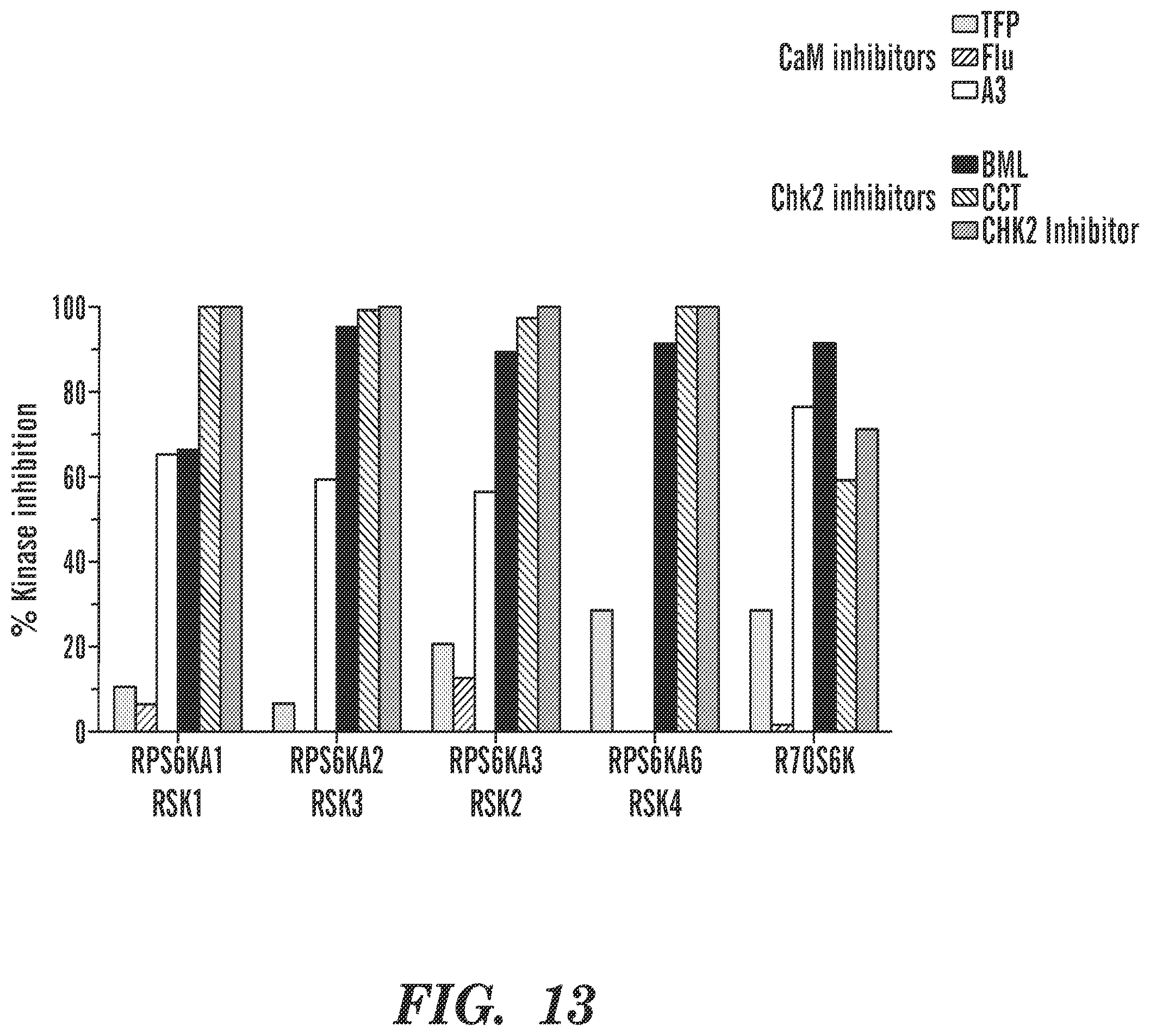 Patent US12569486 Figure 14 – Calmodulin inhibitors, CHK2 inhibitors and RSK inhibitors for the treatment of ribosomal disorders and ribosomapathies