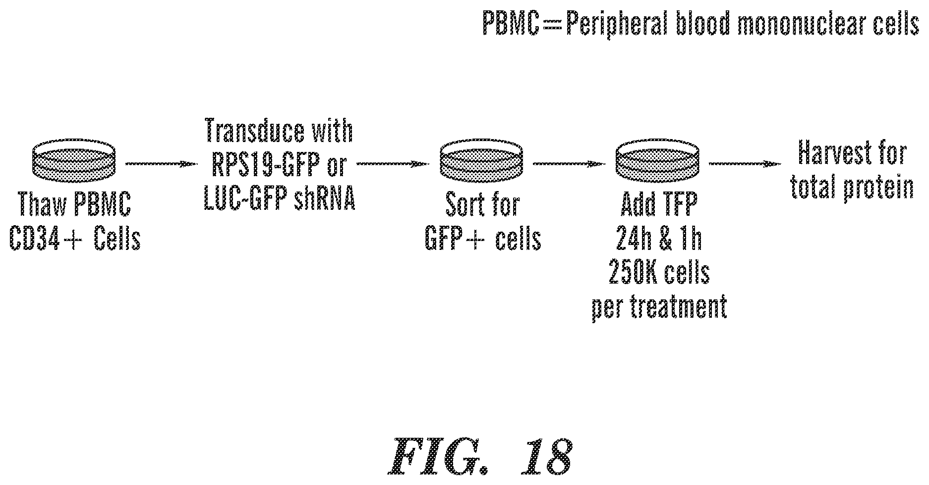 Patent US12569486 Figure 19 – Calmodulin inhibitors, CHK2 inhibitors and RSK inhibitors for the treatment of ribosomal disorders and ribosomapathies