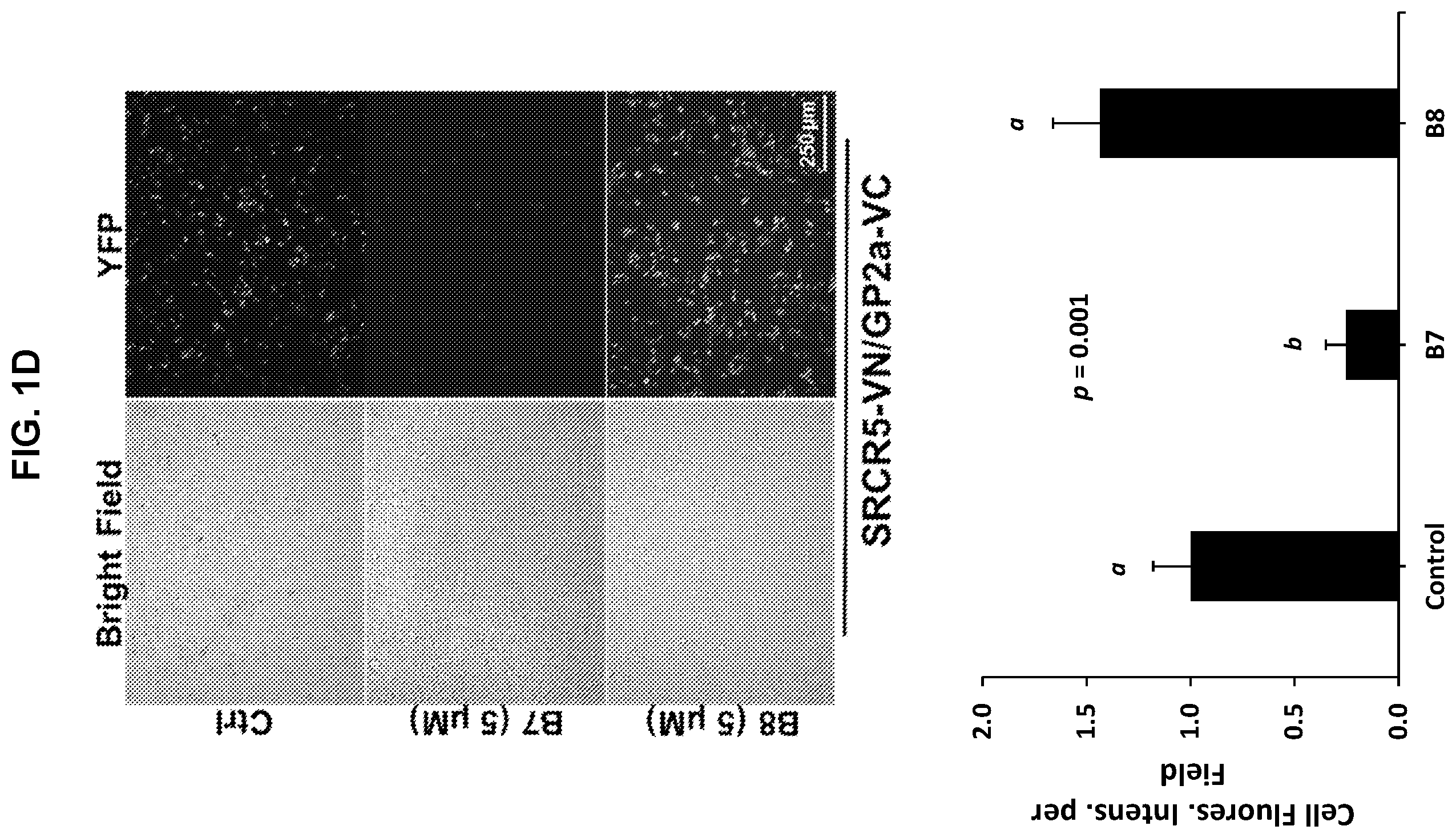 Patent US12569495 Figure 4 – Inhibitors of porcine reproductive and respiratory syndrome virus