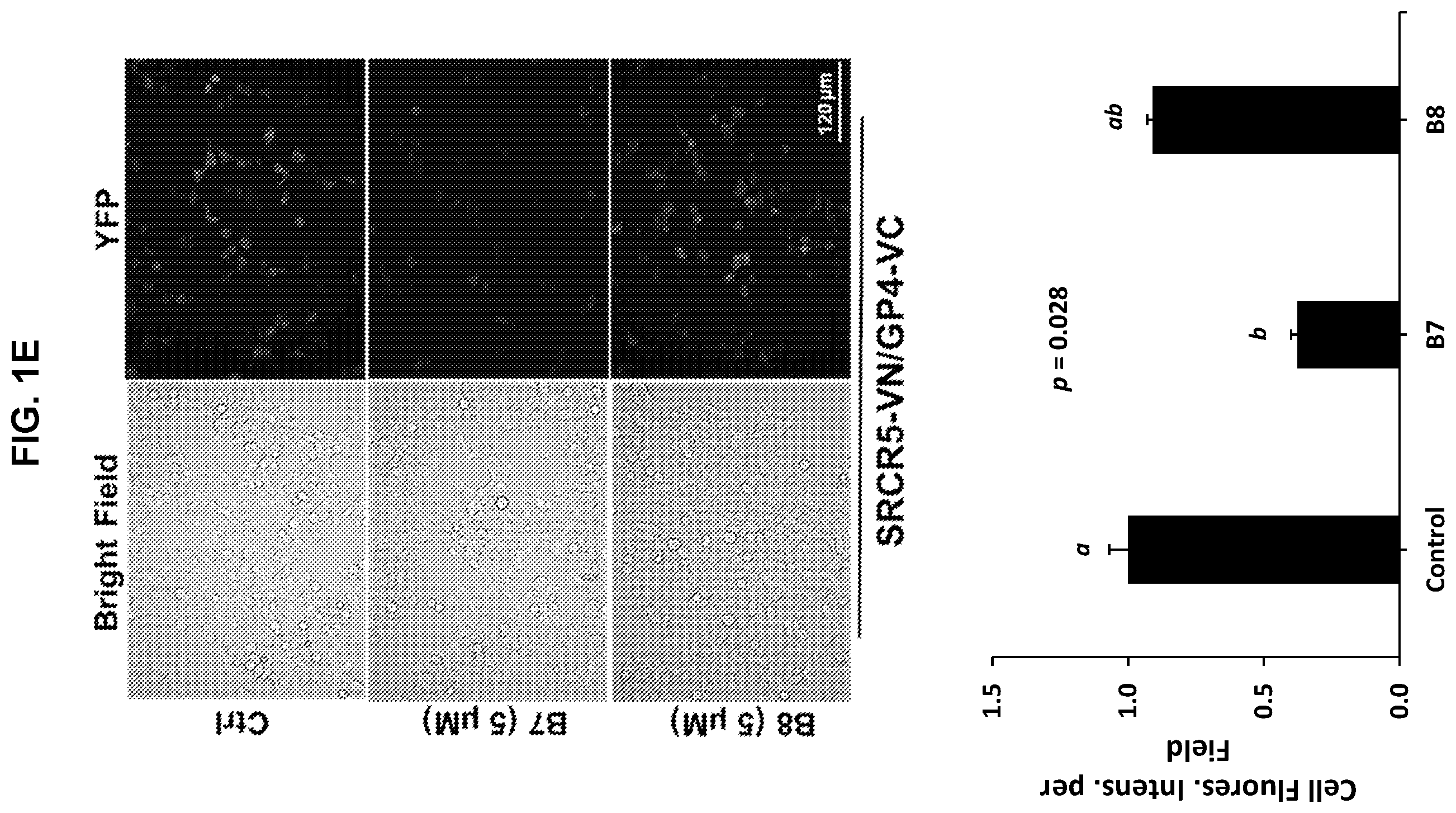 Patent US12569495 Figure 5 – Inhibitors of porcine reproductive and respiratory syndrome virus