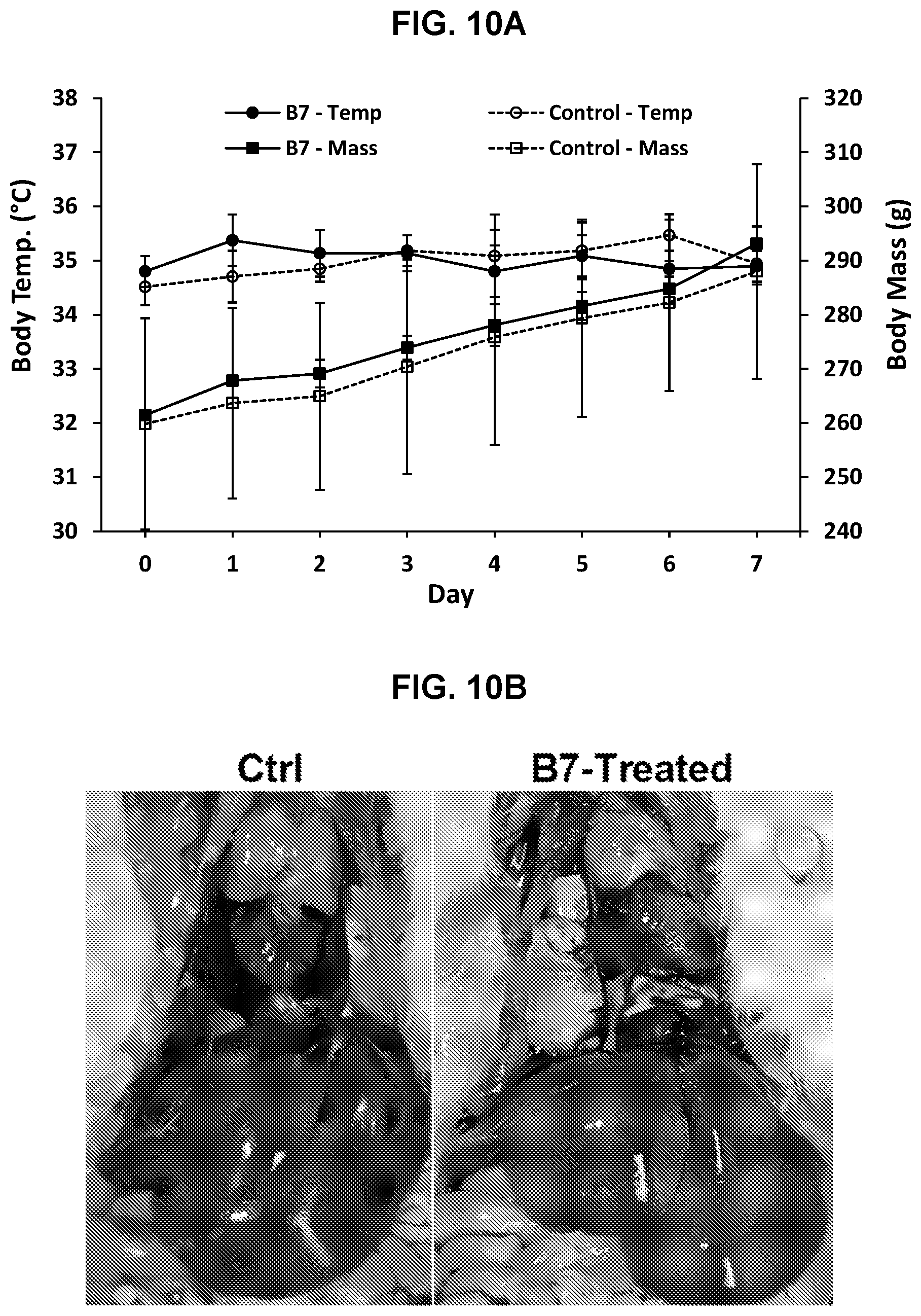 Patent US12569495 Figure 18 – Inhibitors of porcine reproductive and respiratory syndrome virus
