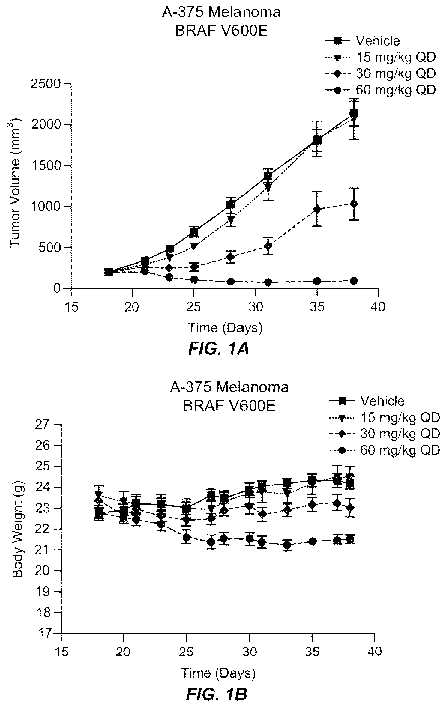 Patent US12569496 Figure 1 – Treatment of cancer with a RAF inhibitor