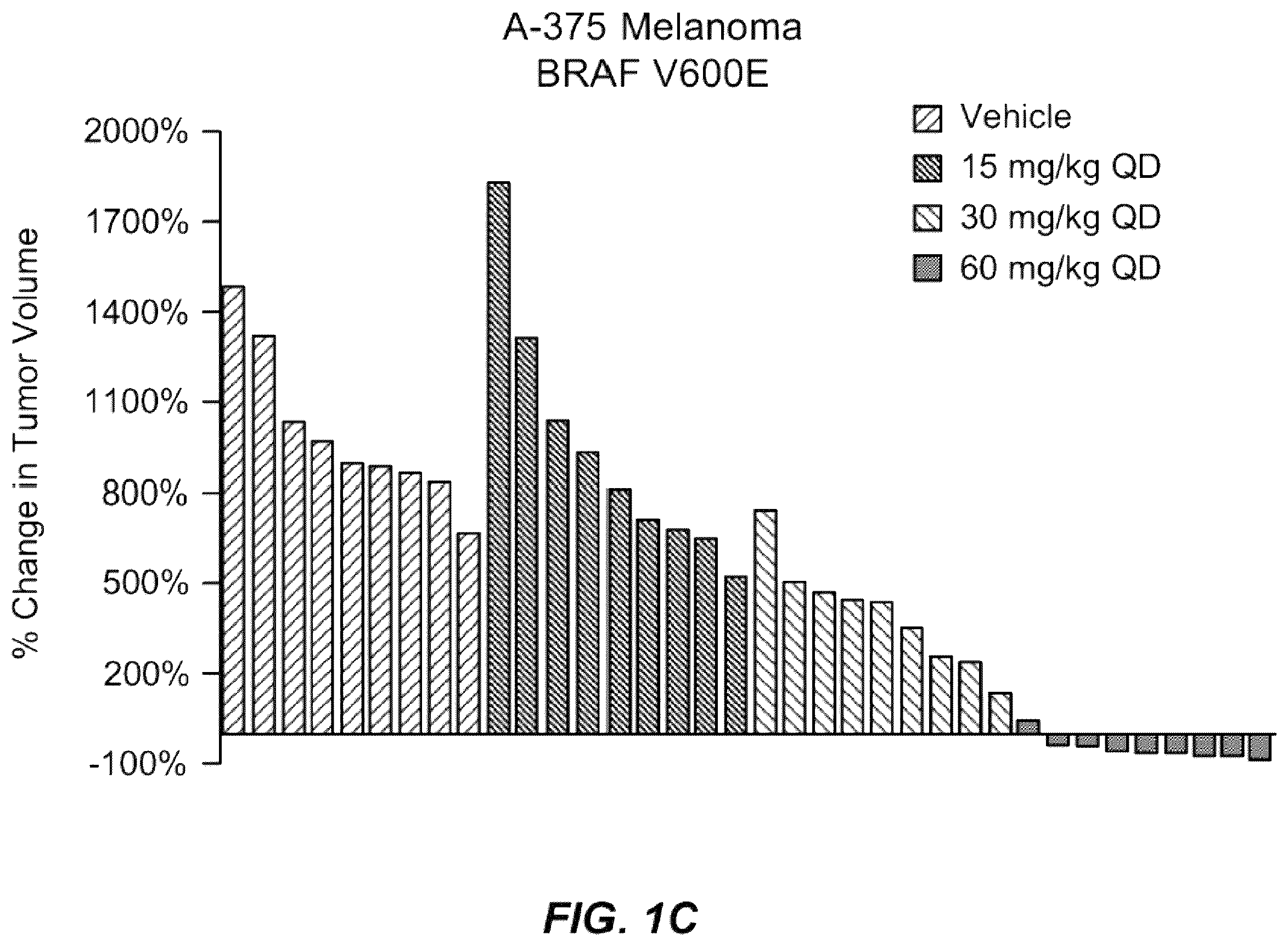 Patent US12569496 Figure 2 – Treatment of cancer with a RAF inhibitor