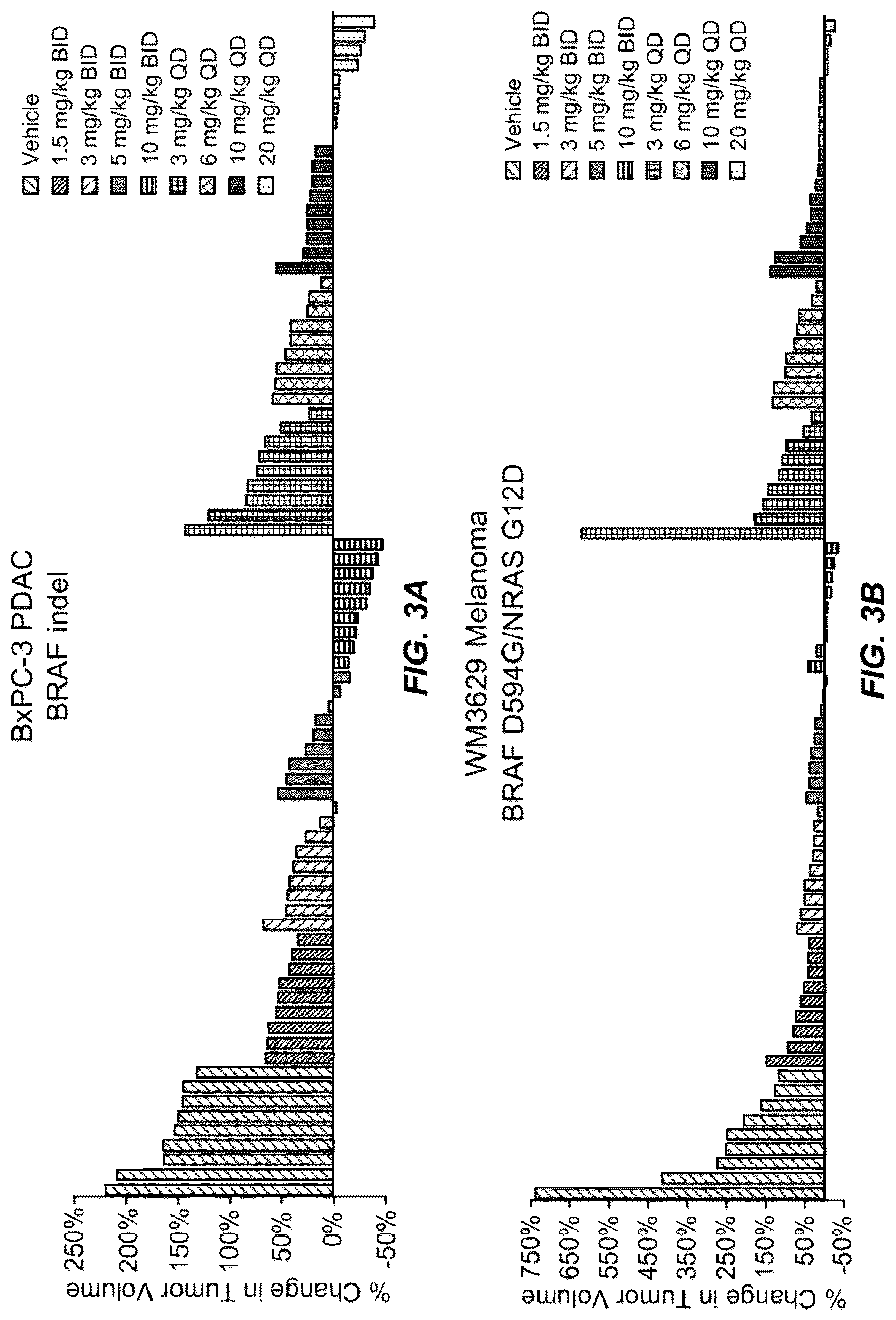 Patent US12569496 Figure 5 – Treatment of cancer with a RAF inhibitor