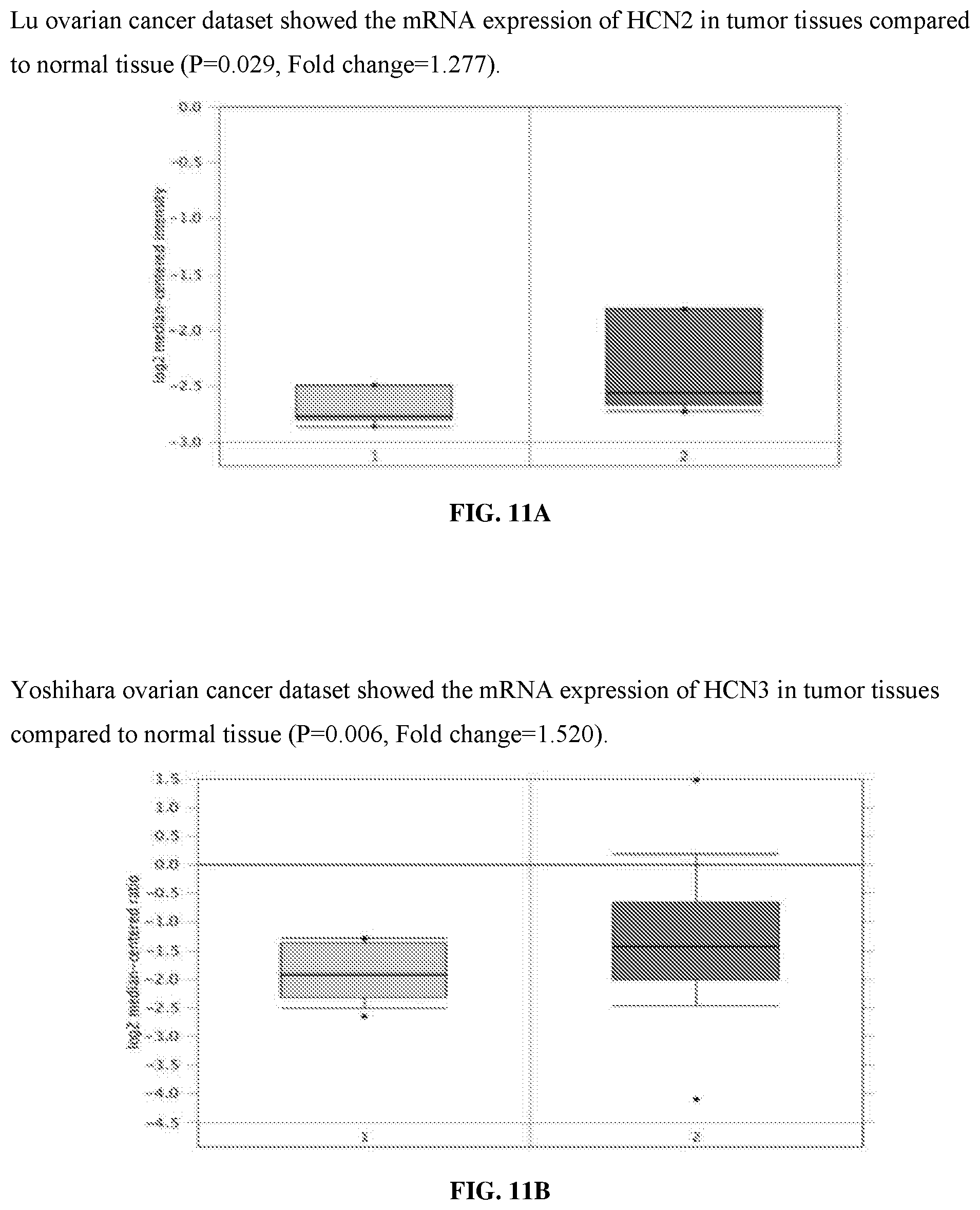 Patent US12569497 Figure 14 – Use of HCN inhibitors for treatment of cancer