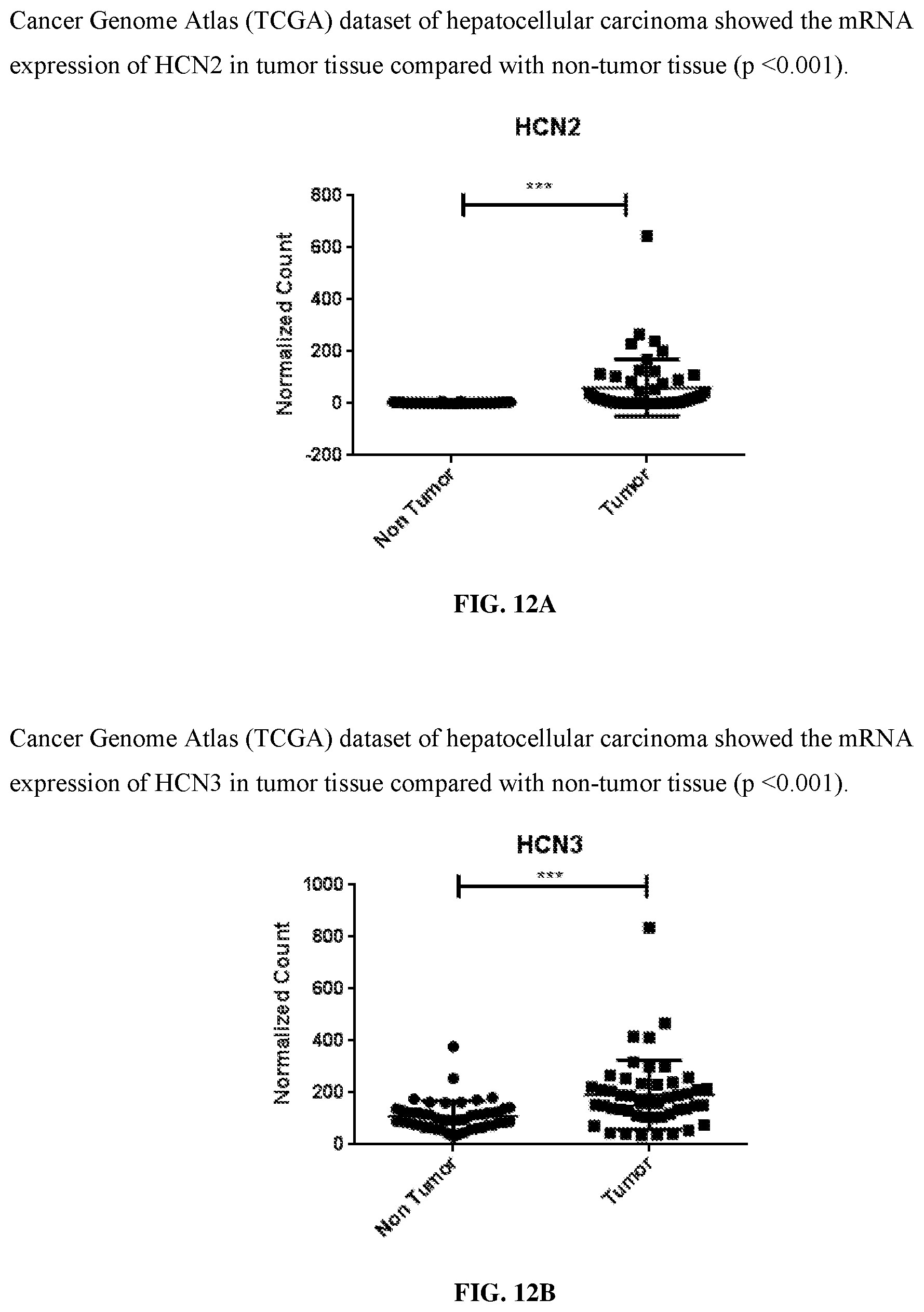 Patent US12569497 Figure 15 – Use of HCN inhibitors for treatment of cancer