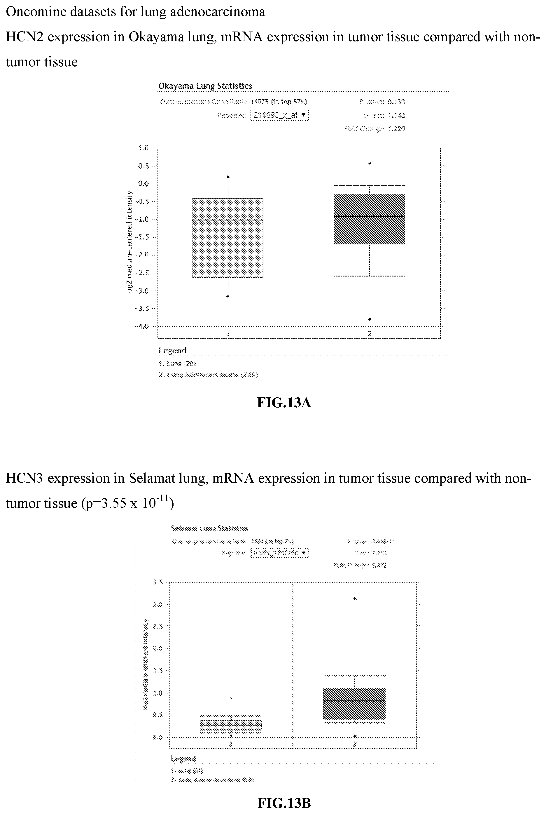 Patent US12569497 Figure 17 – Use of HCN inhibitors for treatment of cancer