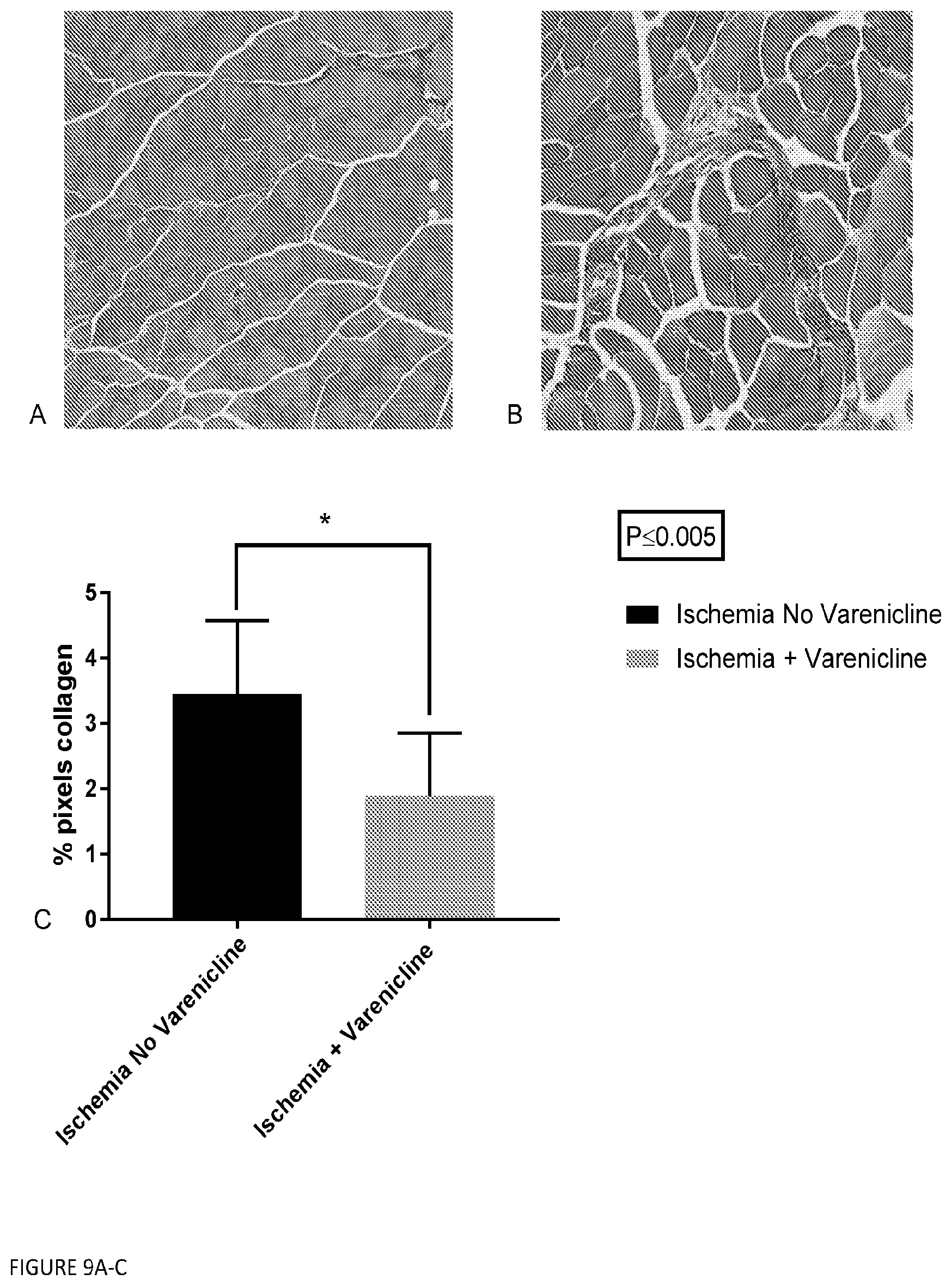 Patent US12569498 Figure 9 – Methods and compositions for the prevention and treatment of ischemia reperfusion injury and infection