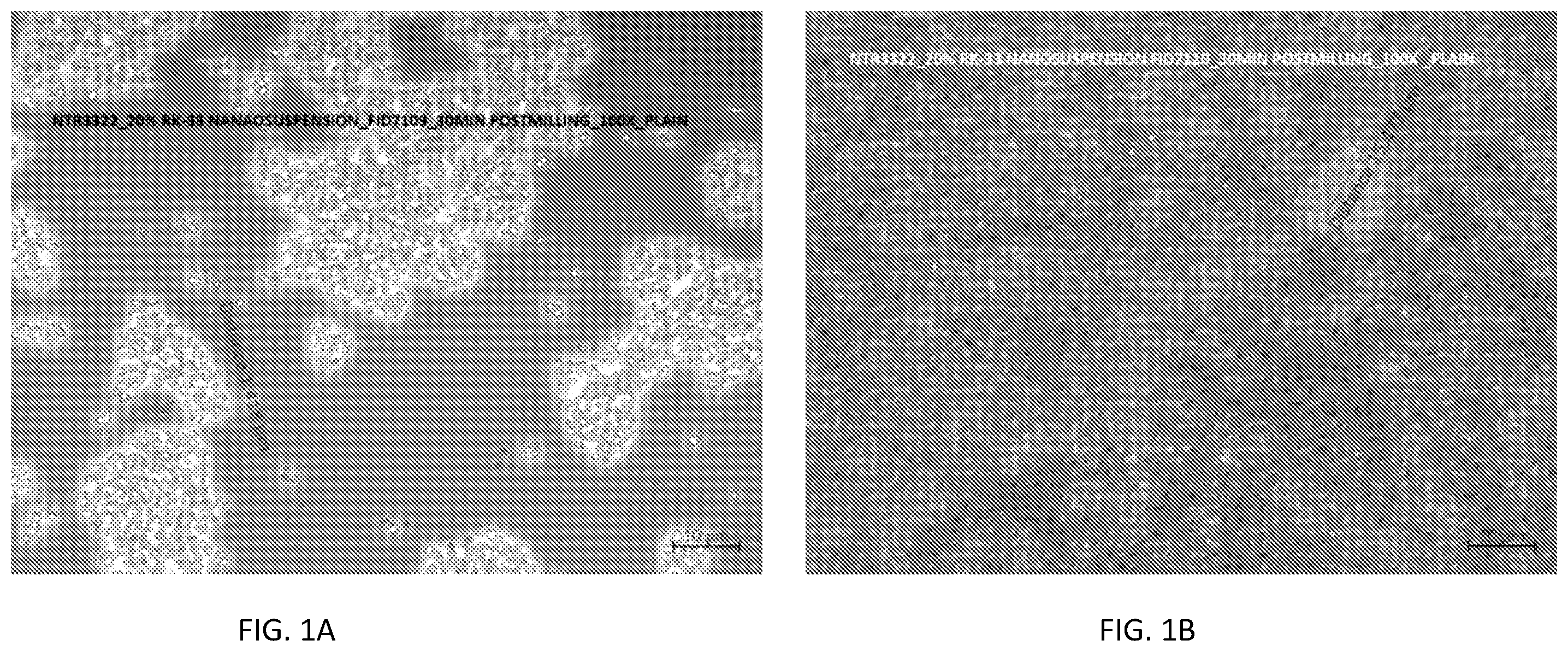 Patent US12569499 Figure 1 – Intravenous formulations of RK-33