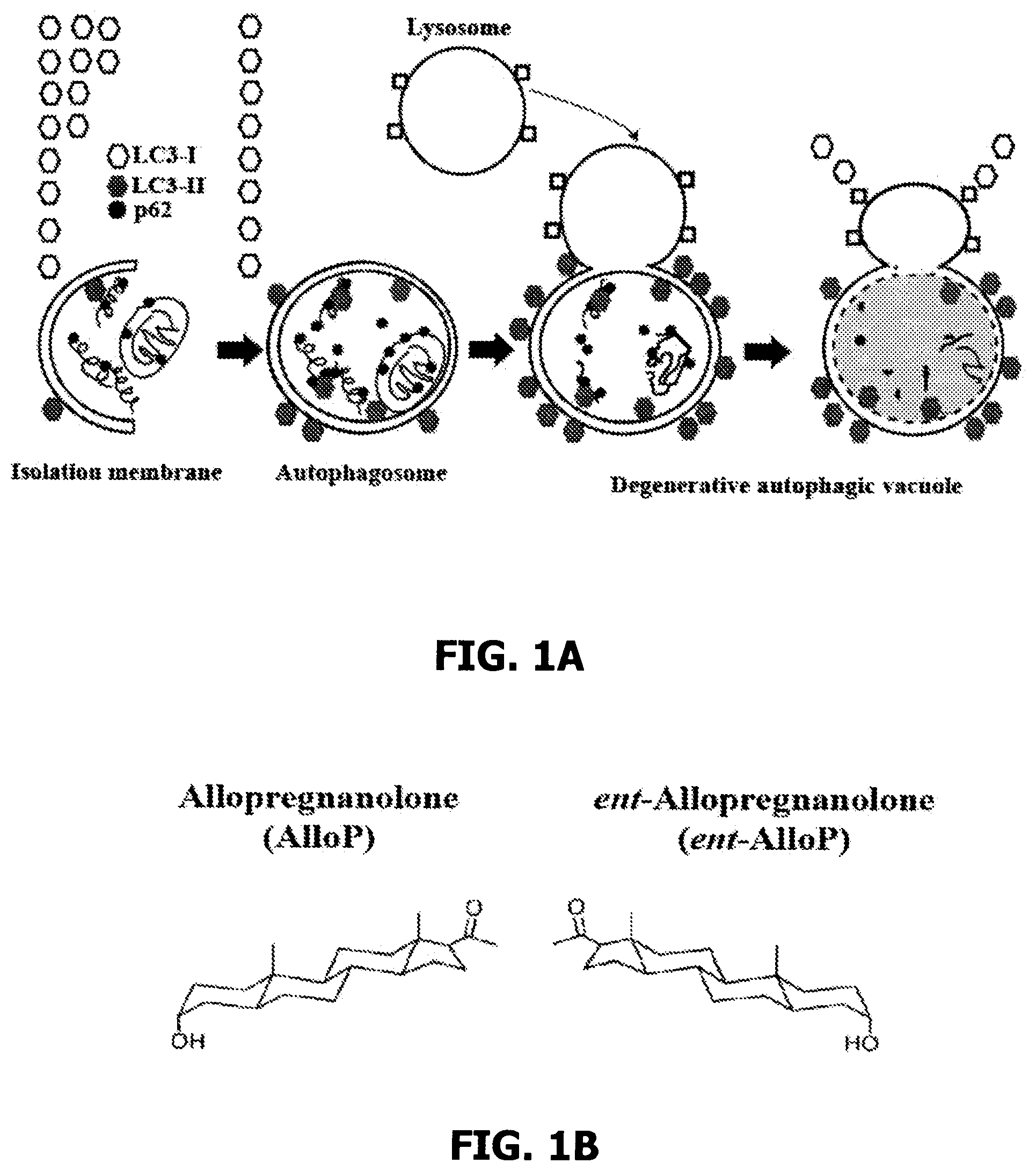 Patent US12569501 Figure 1 – Neurosteroids and enantiomers thereof for the prevention and treatment of neurodegenerative conditions