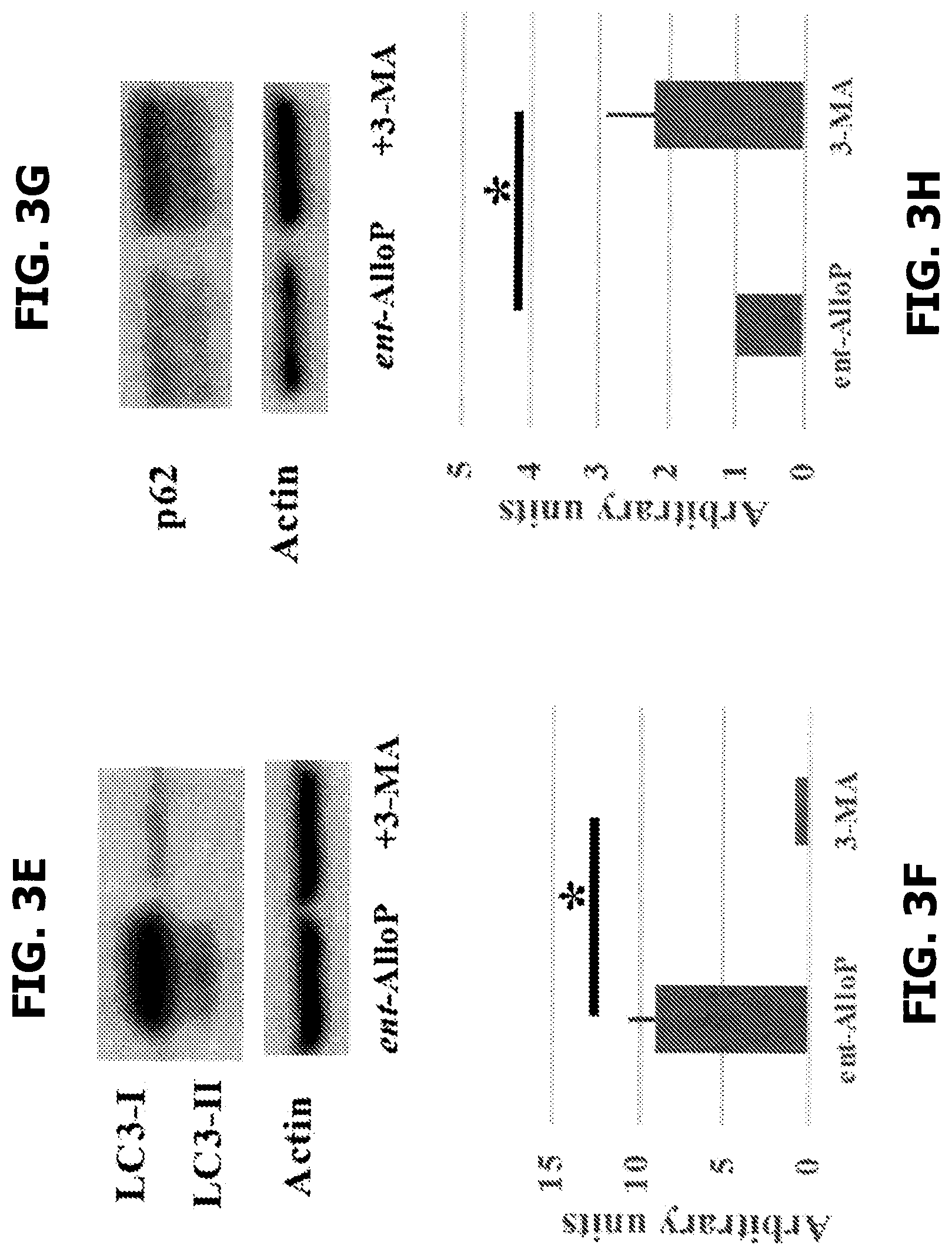 Patent US12569501 Figure 13 – Neurosteroids and enantiomers thereof for the prevention and treatment of neurodegenerative conditions