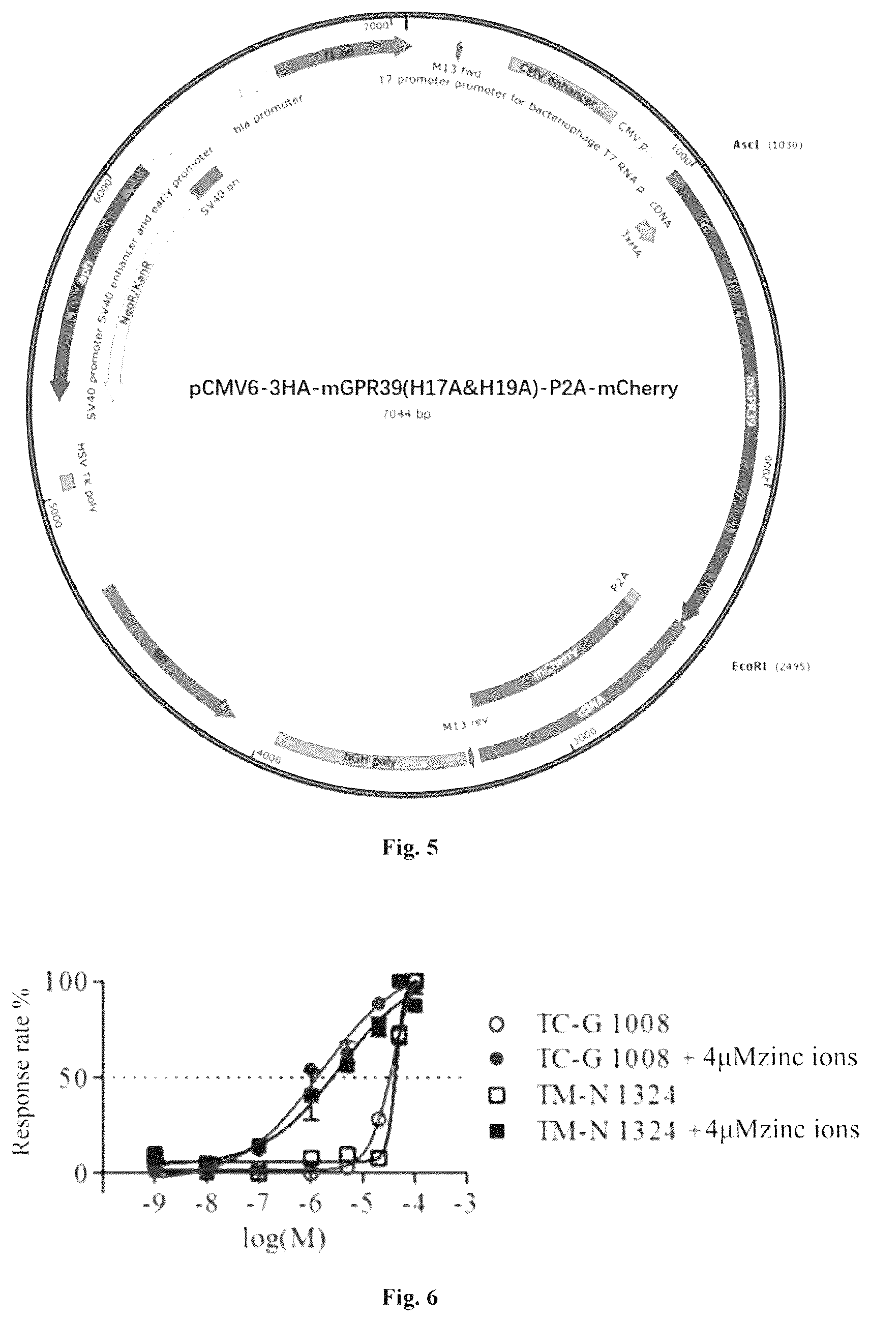 Patent US12569502 Figure 4 – Use of bile acids and derivatives thereof in preparation of GPR39 agonist