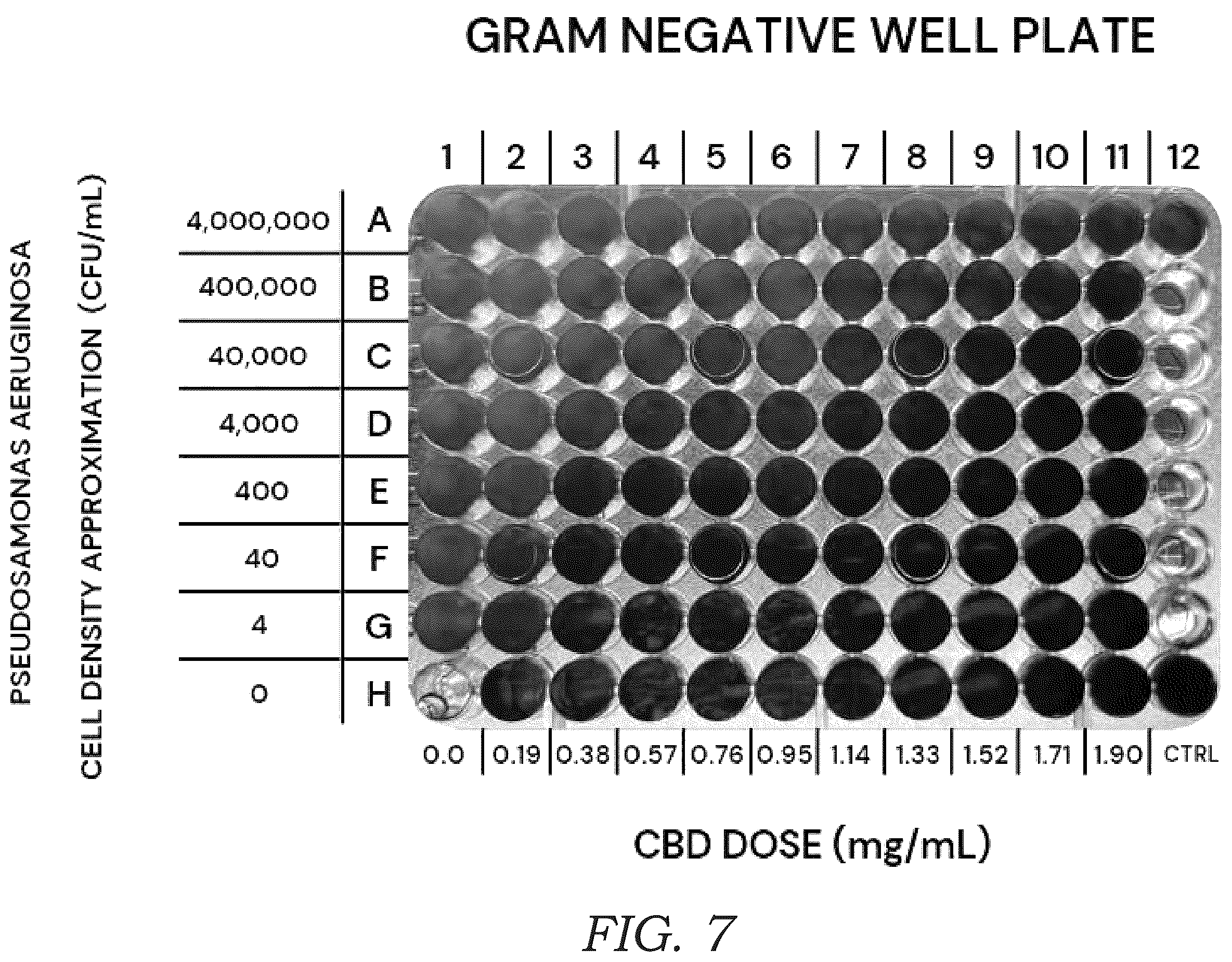 Patent US12569504 Figure 5 – Process for creating a cannabinoid pico-emulsion with antibiotic properties and the resulting pico-emulsion