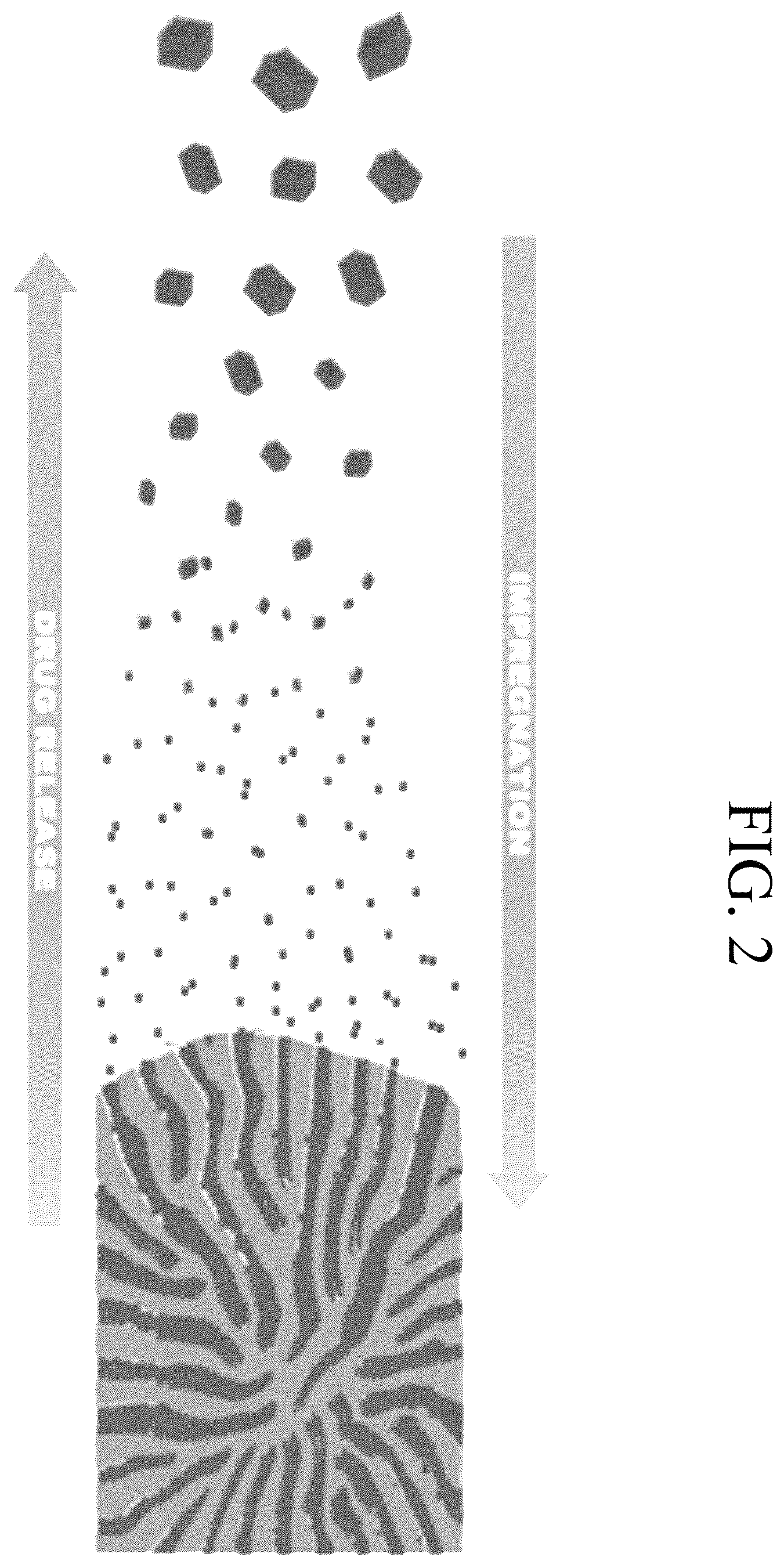 Patent US12569505 Figure 2 – Oral solid dosage forms comprising cannabinoids
