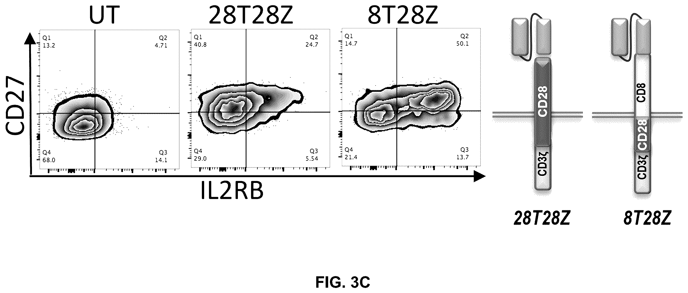 Patent US12569507 Figure 5 – CAR T-cells for the treatment of bone metastatic cancer