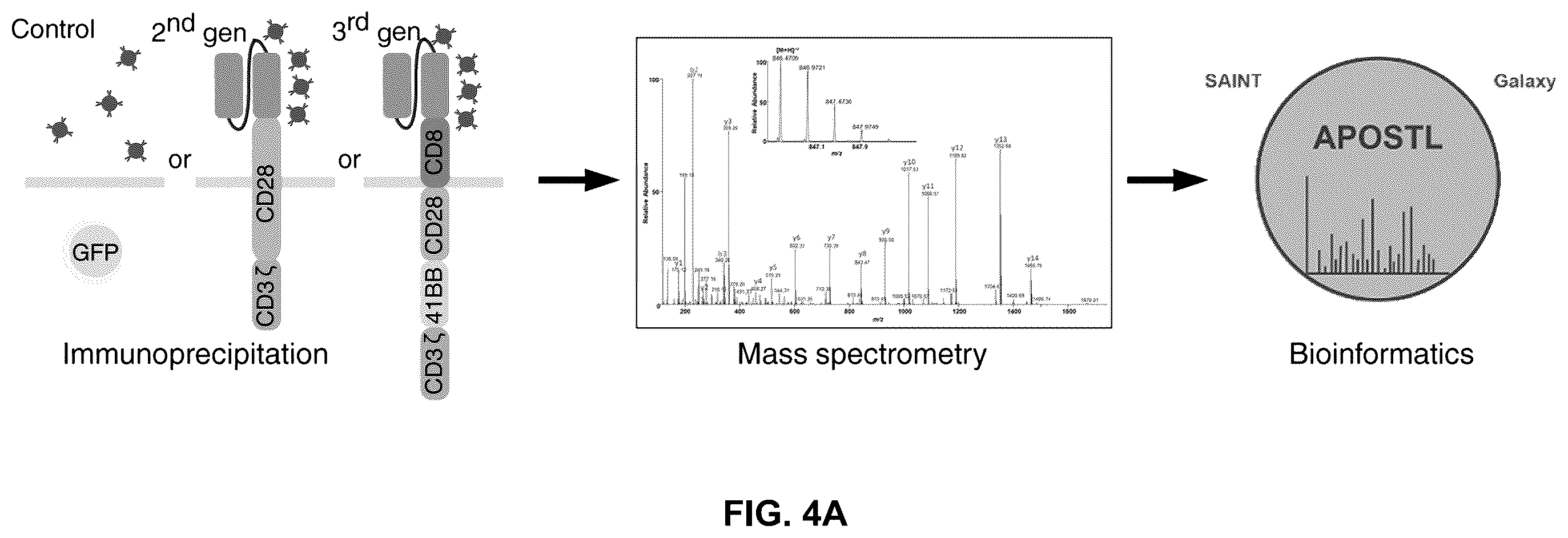 Patent US12569507 Figure 7 – CAR T-cells for the treatment of bone metastatic cancer