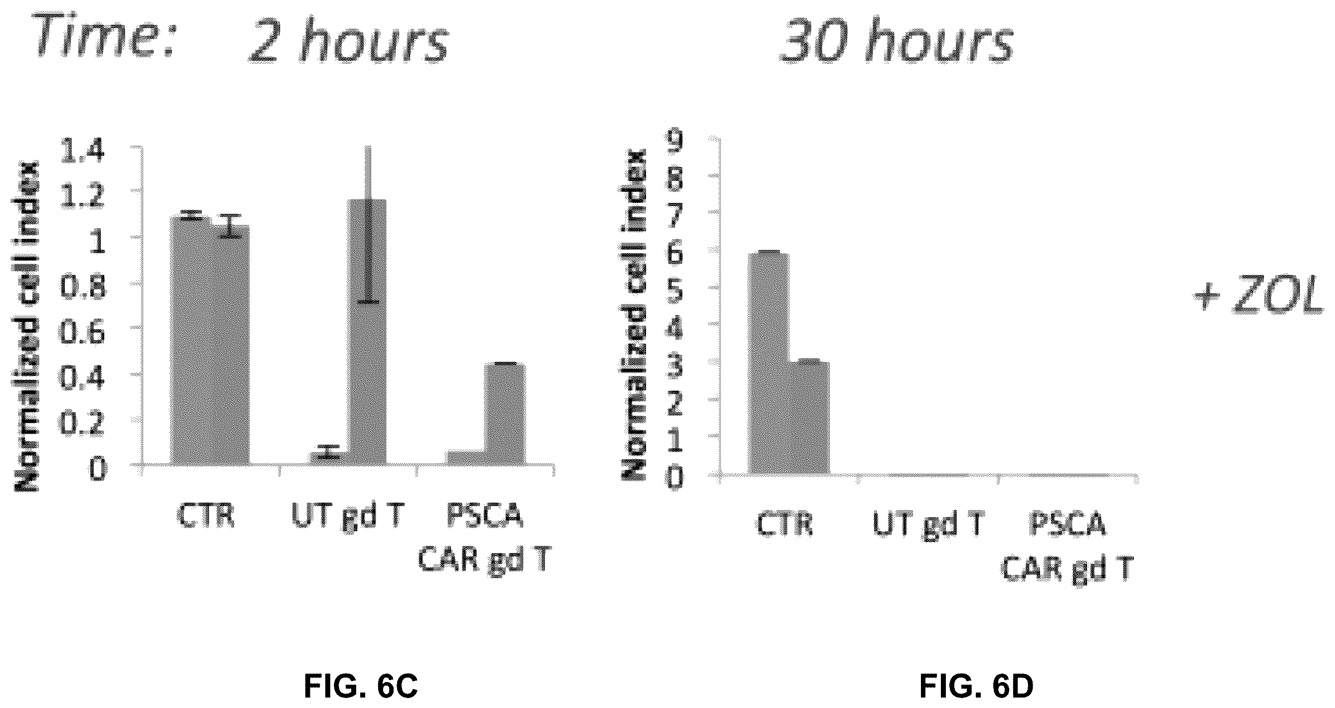 Patent US12569507 Figure 13 – CAR T-cells for the treatment of bone metastatic cancer