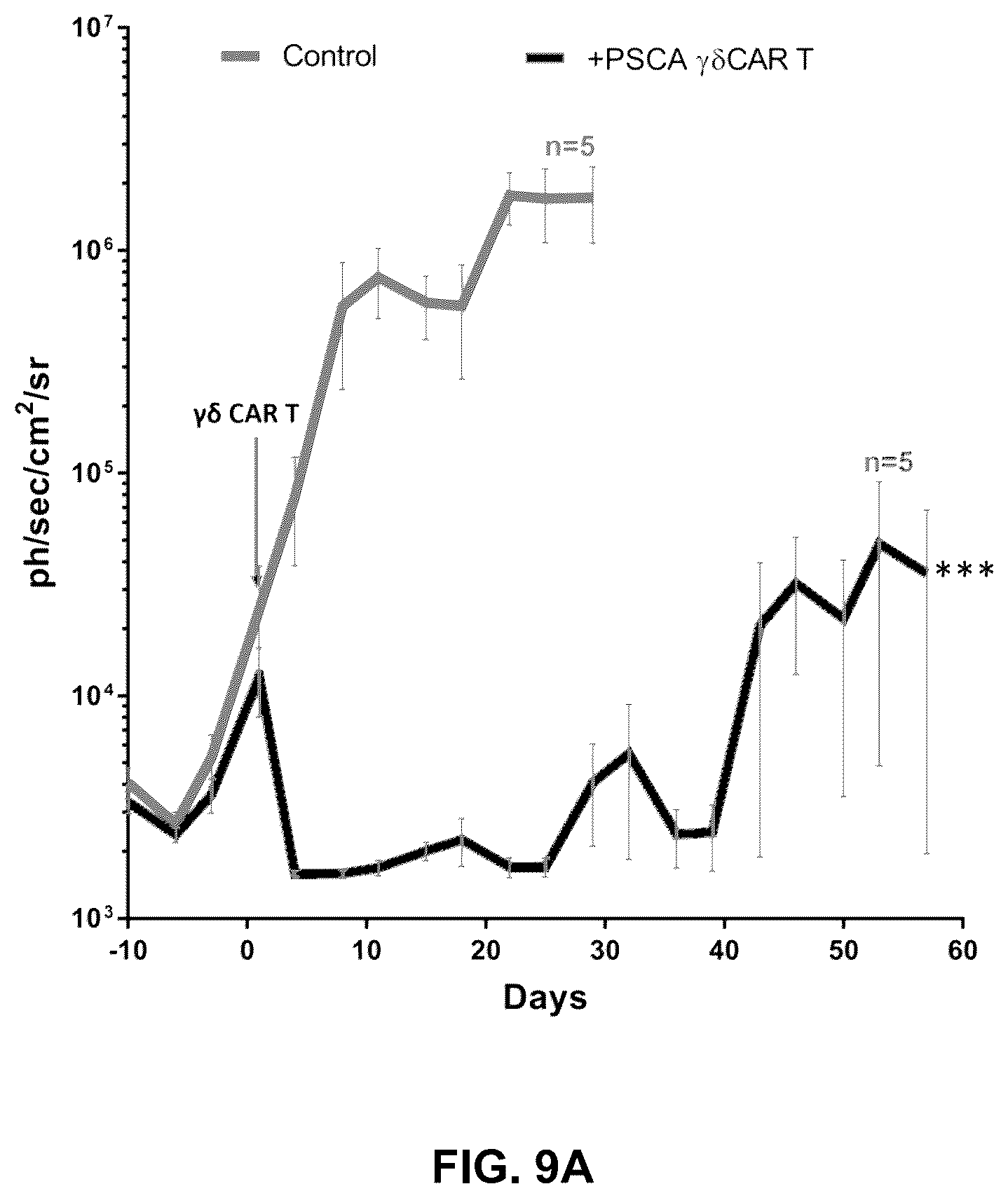 Patent US12569507 Figure 18 – CAR T-cells for the treatment of bone metastatic cancer