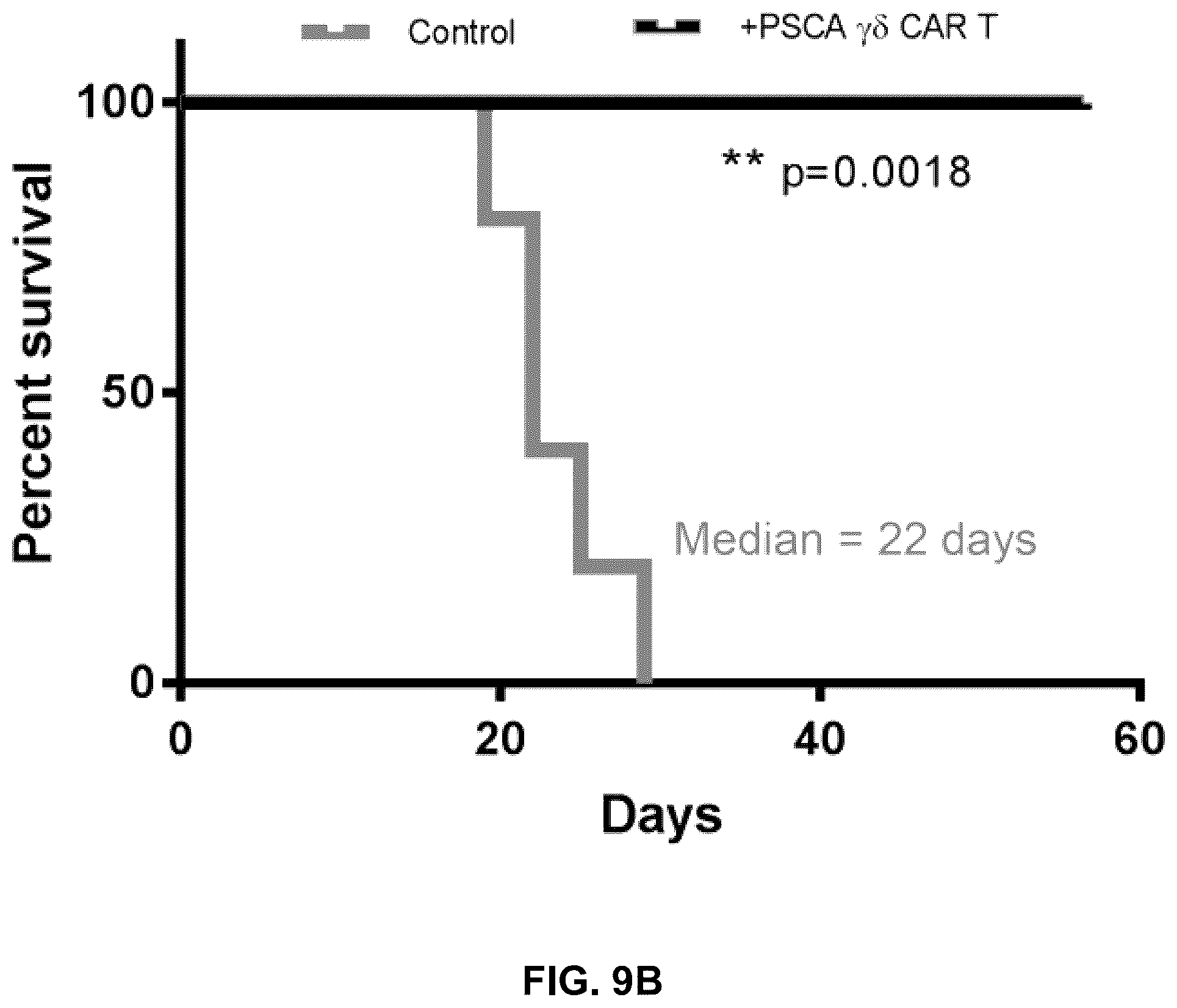 Patent US12569507 Figure 19 – CAR T-cells for the treatment of bone metastatic cancer