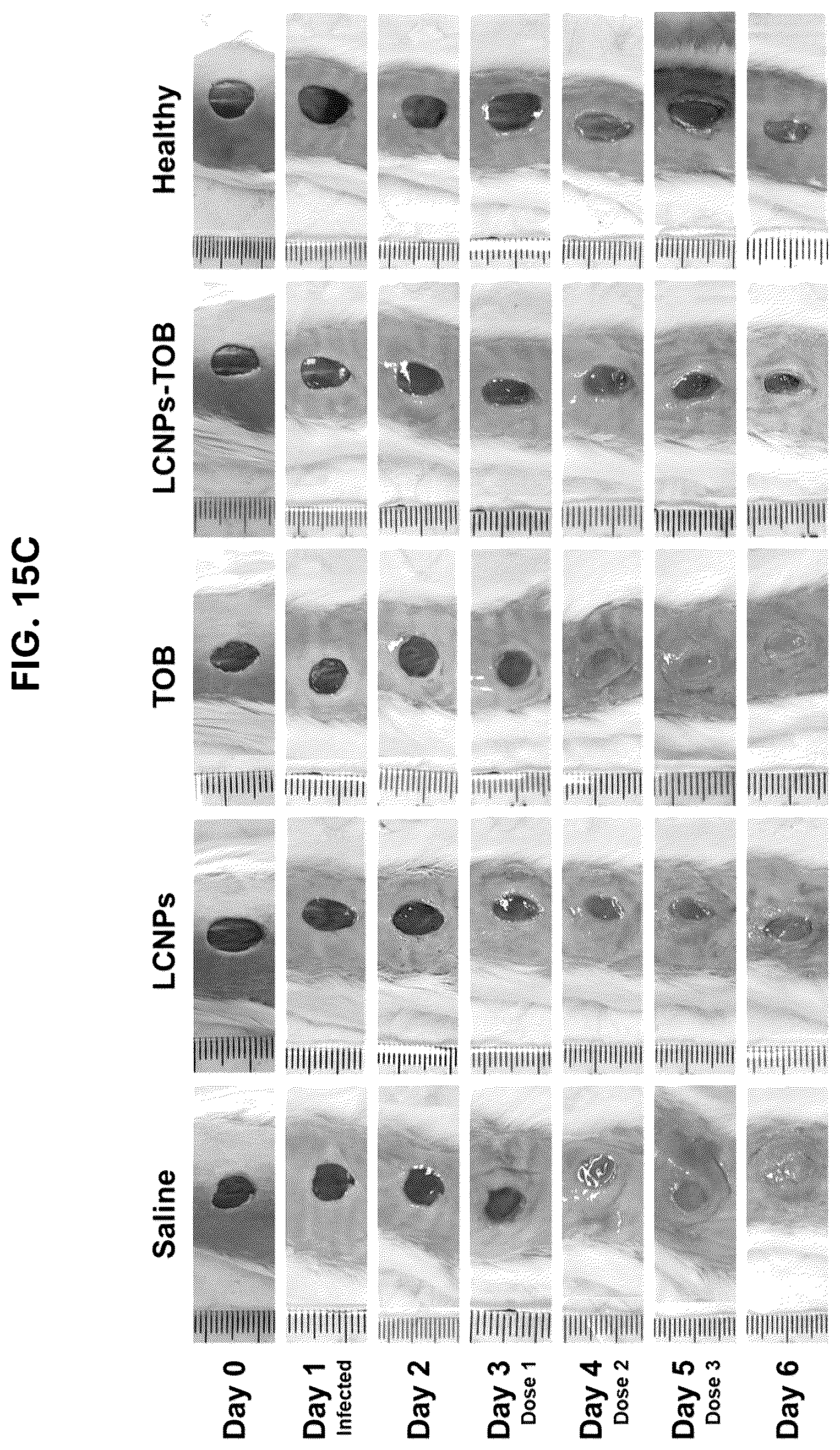 Patent US12569508 Figure 17 – Antimicrobial compositions and methods of use