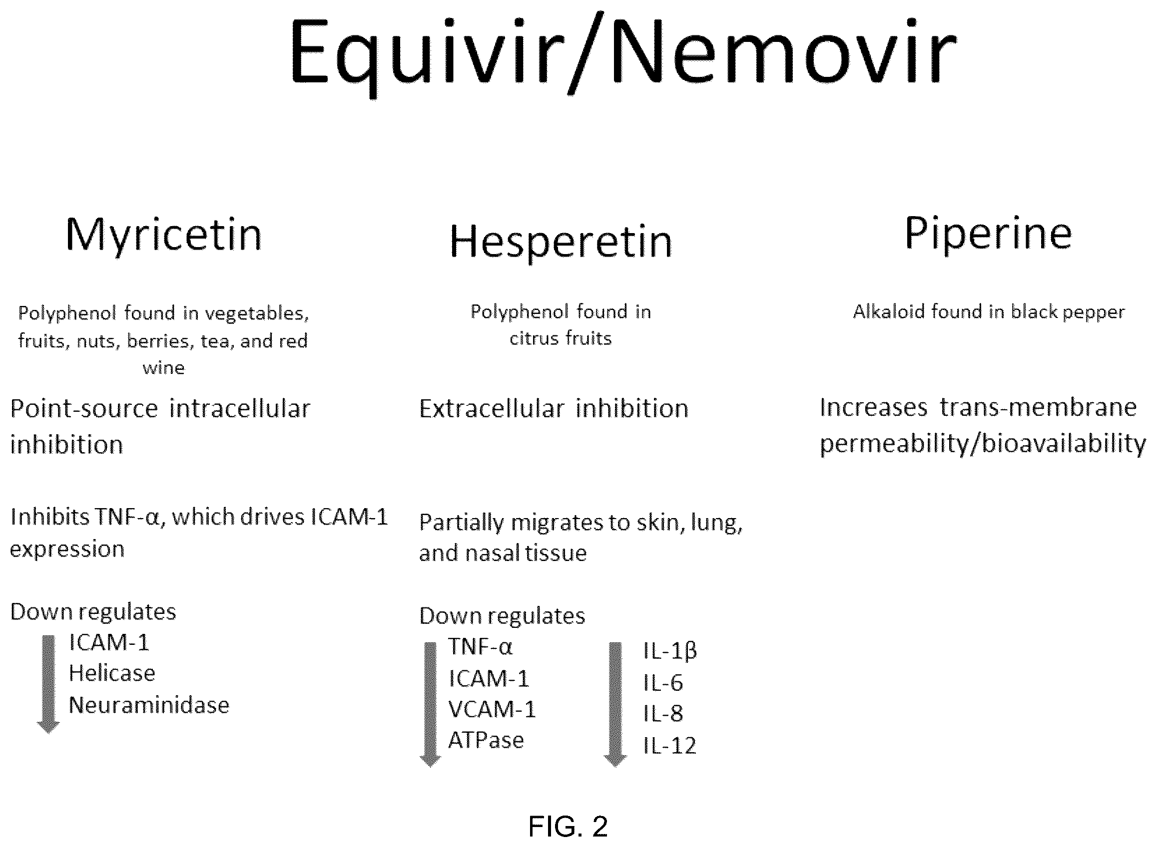 Patent US12569509 Figure 2 – Method and composition for preventing and treating viral infections
