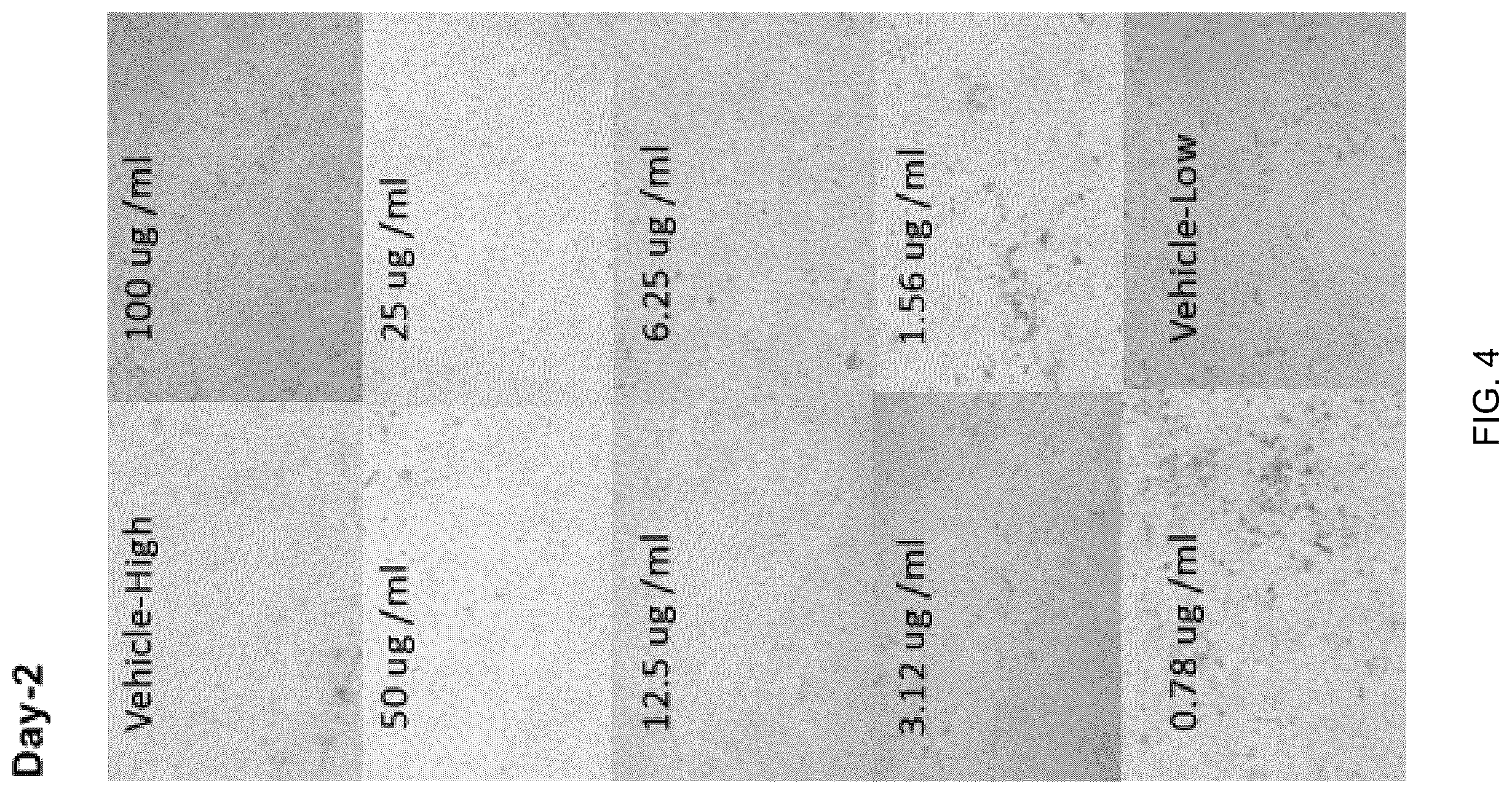 Patent US12569509 Figure 4 – Method and composition for preventing and treating viral infections