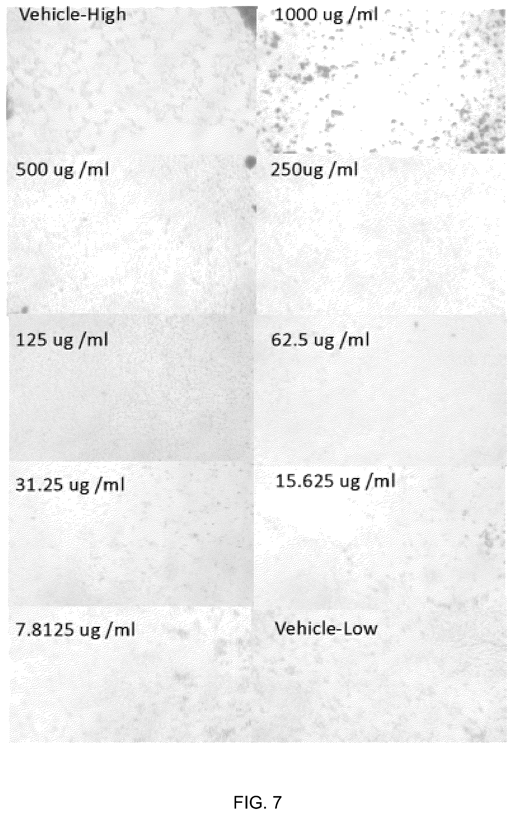 Patent US12569509 Figure 7 – Method and composition for preventing and treating viral infections