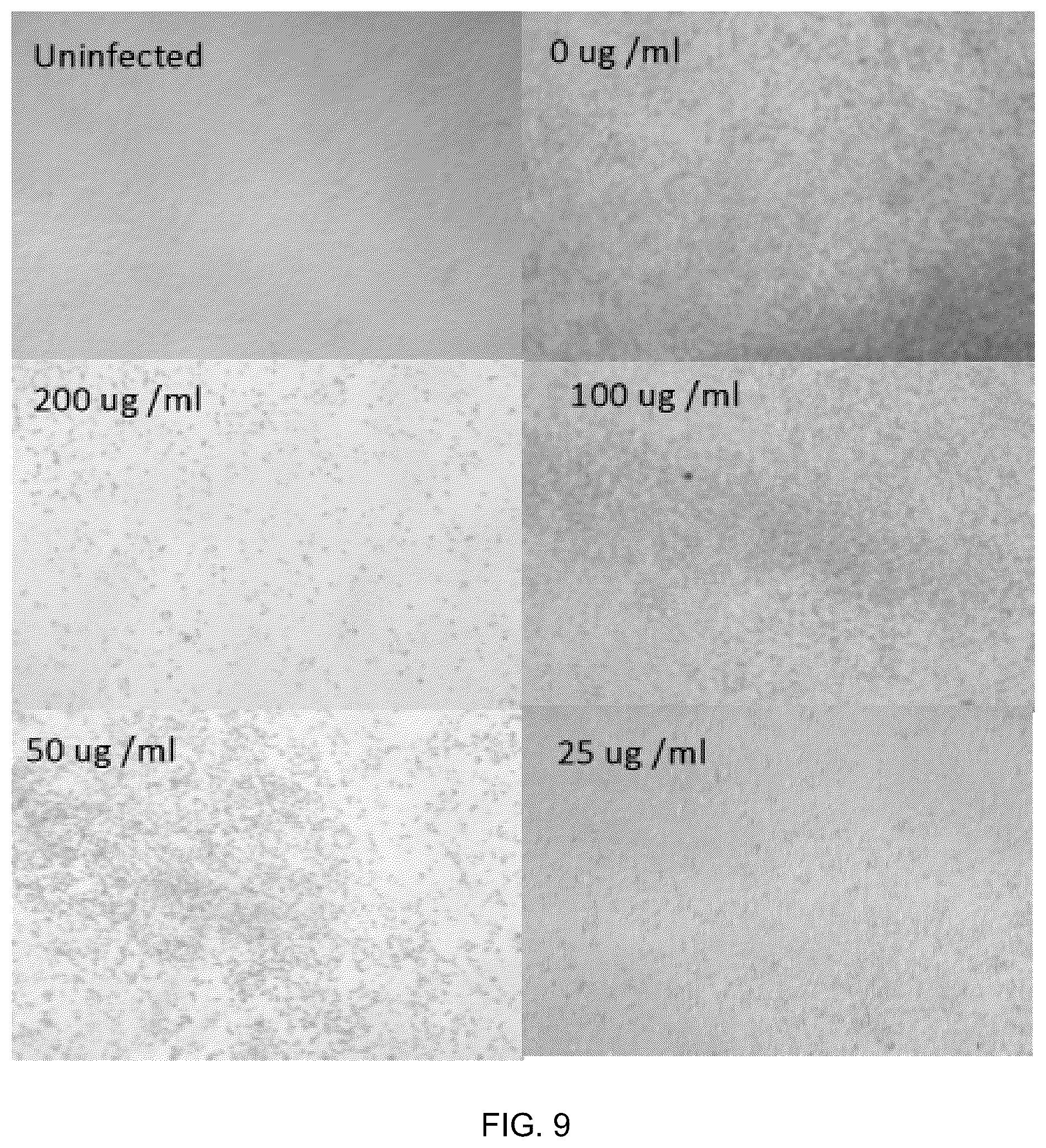 Patent US12569509 Figure 9 – Method and composition for preventing and treating viral infections