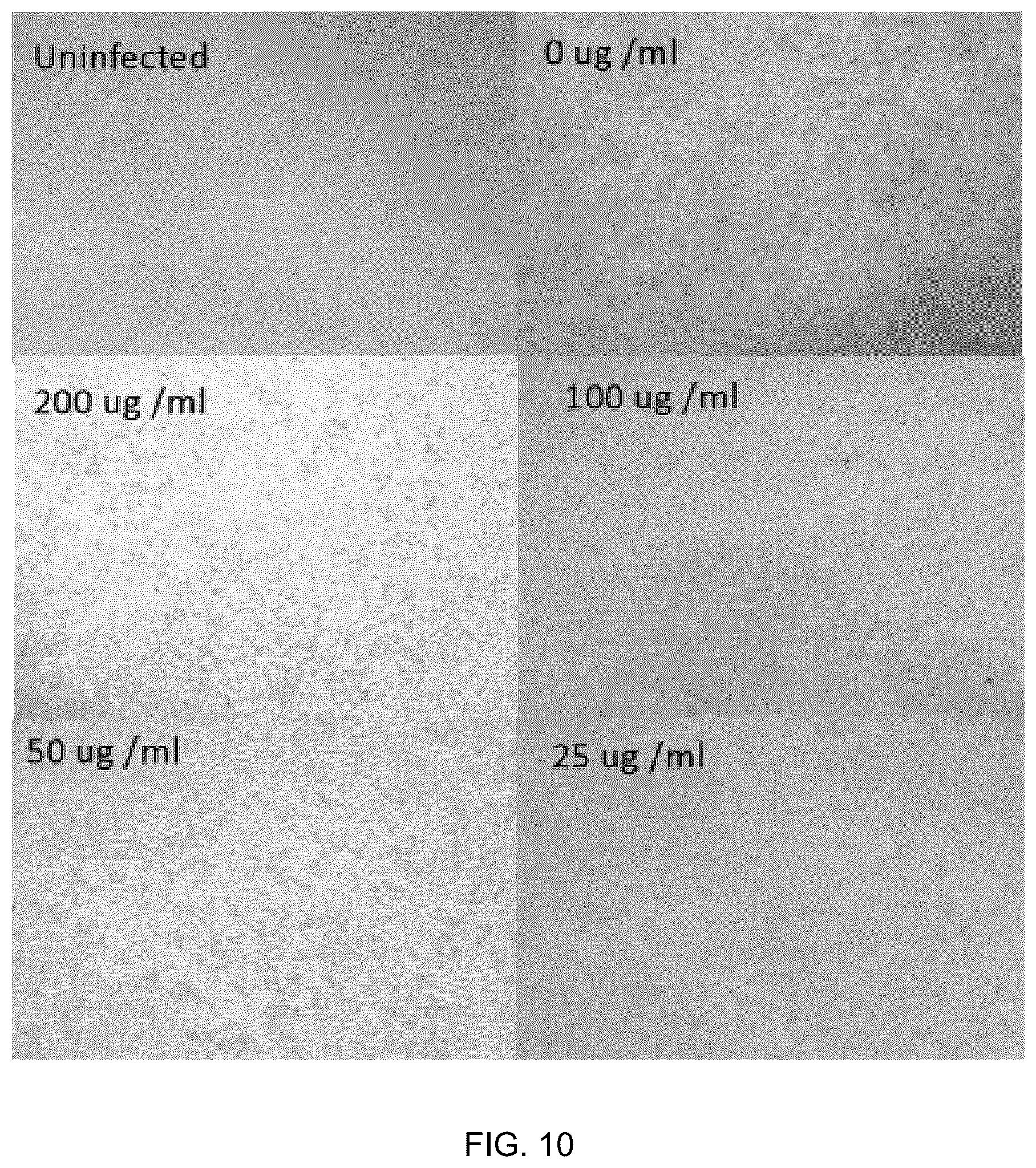 Patent US12569509 Figure 10 – Method and composition for preventing and treating viral infections