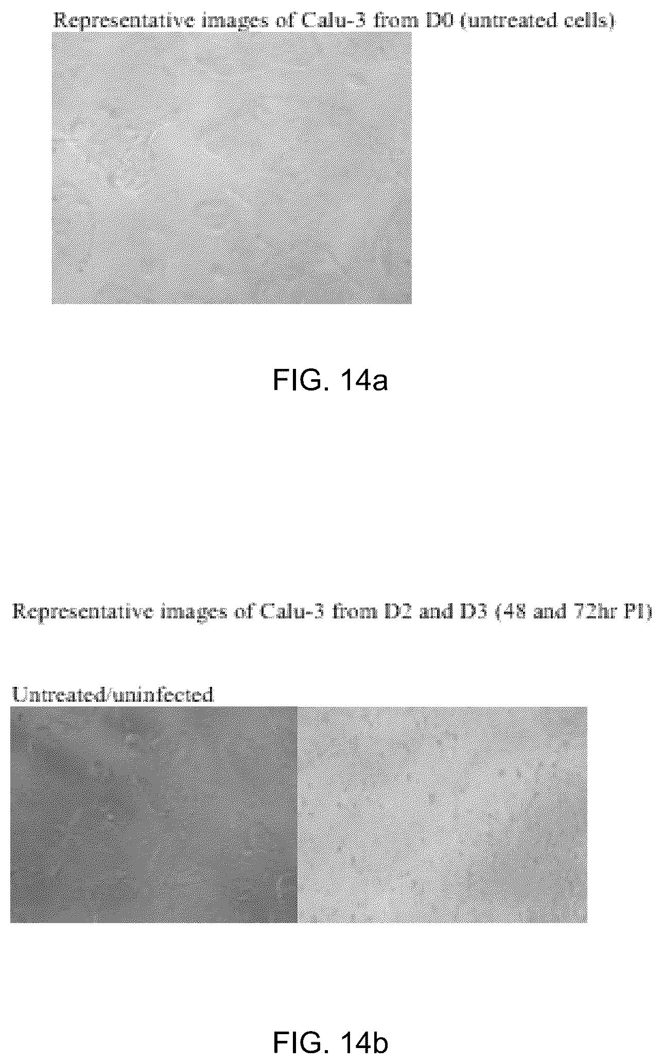 Patent US12569509 Figure 14 – Method and composition for preventing and treating viral infections