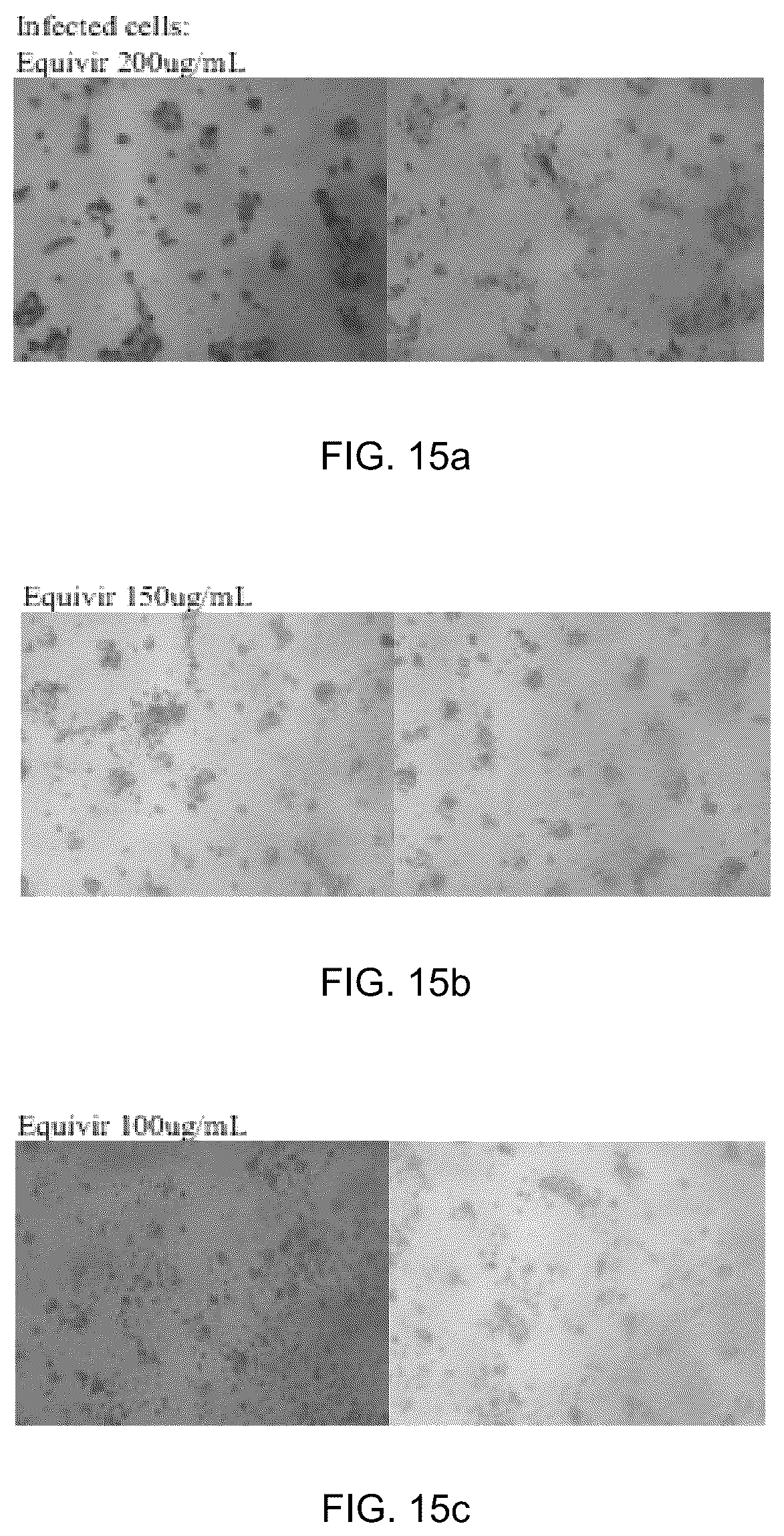 Patent US12569509 Figure 15 – Method and composition for preventing and treating viral infections