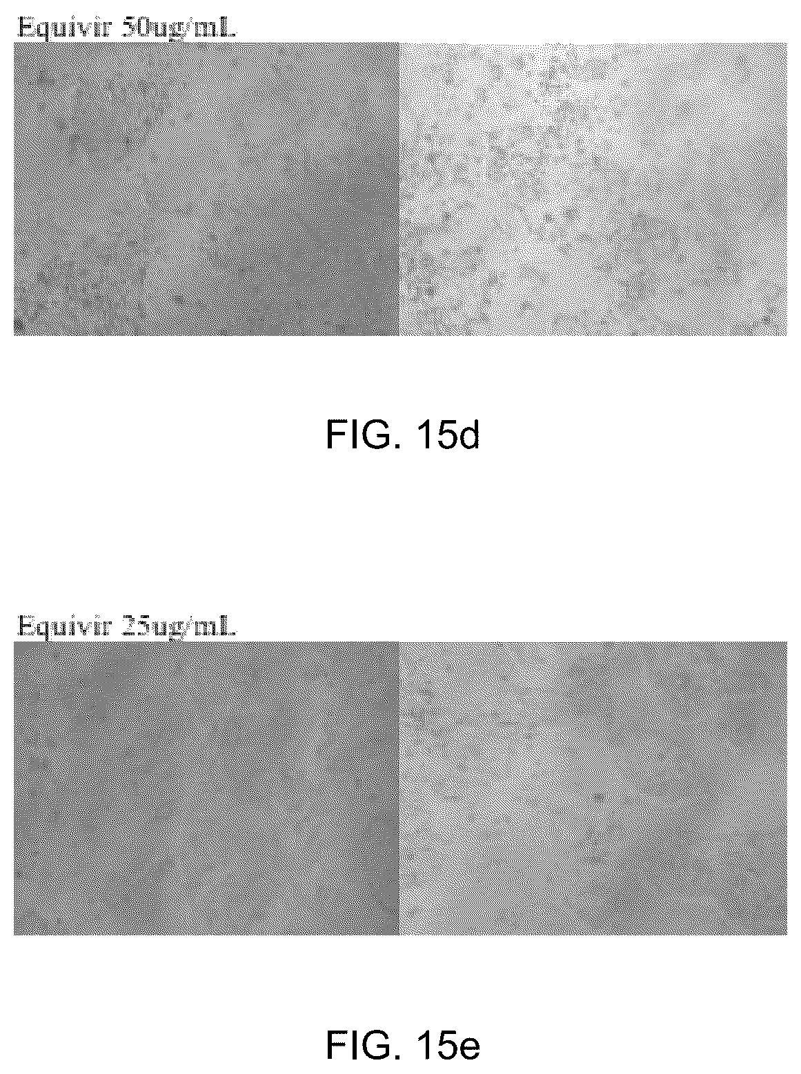 Patent US12569509 Figure 16 – Method and composition for preventing and treating viral infections
