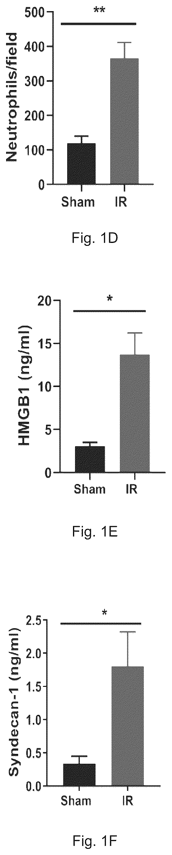 Patent US12569512 Figure 2 – Heparan sulfate (HS) oligosaccharides effect in liver ischemia reperfusion injury