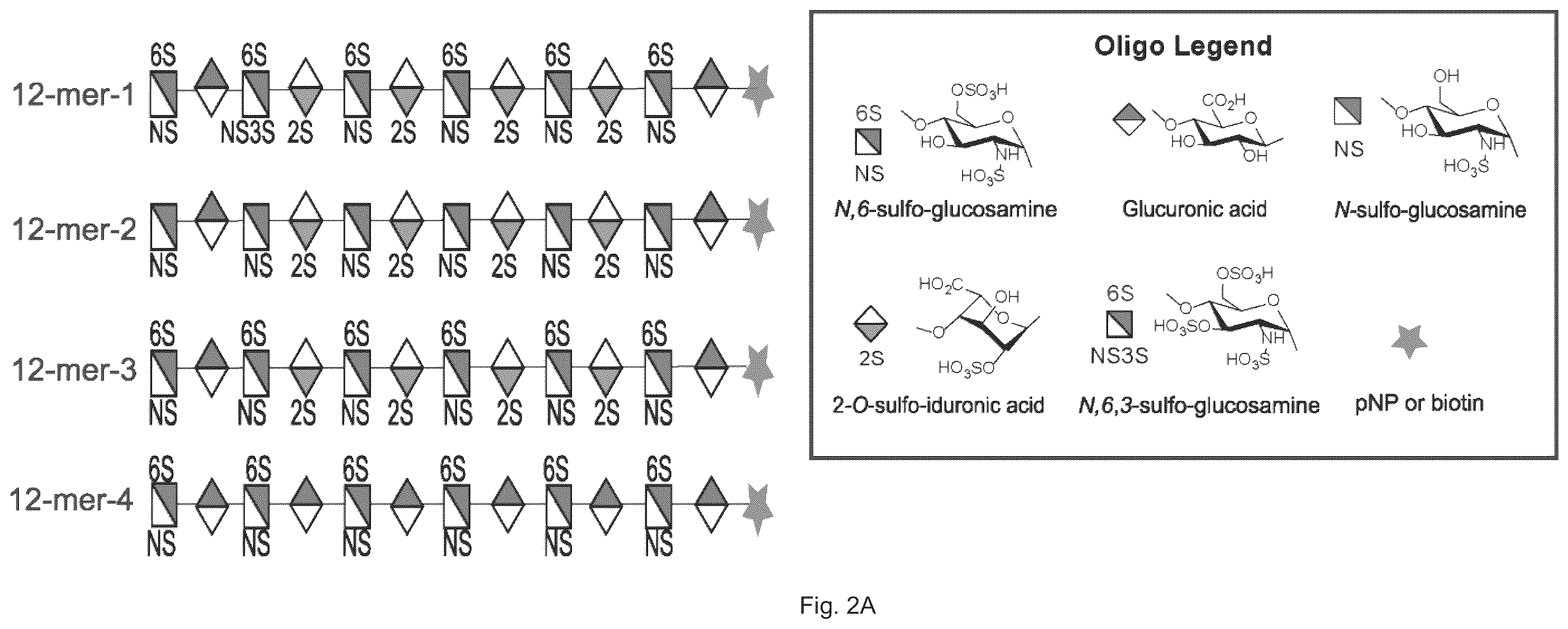Patent US12569512 Figure 3 – Heparan sulfate (HS) oligosaccharides effect in liver ischemia reperfusion injury